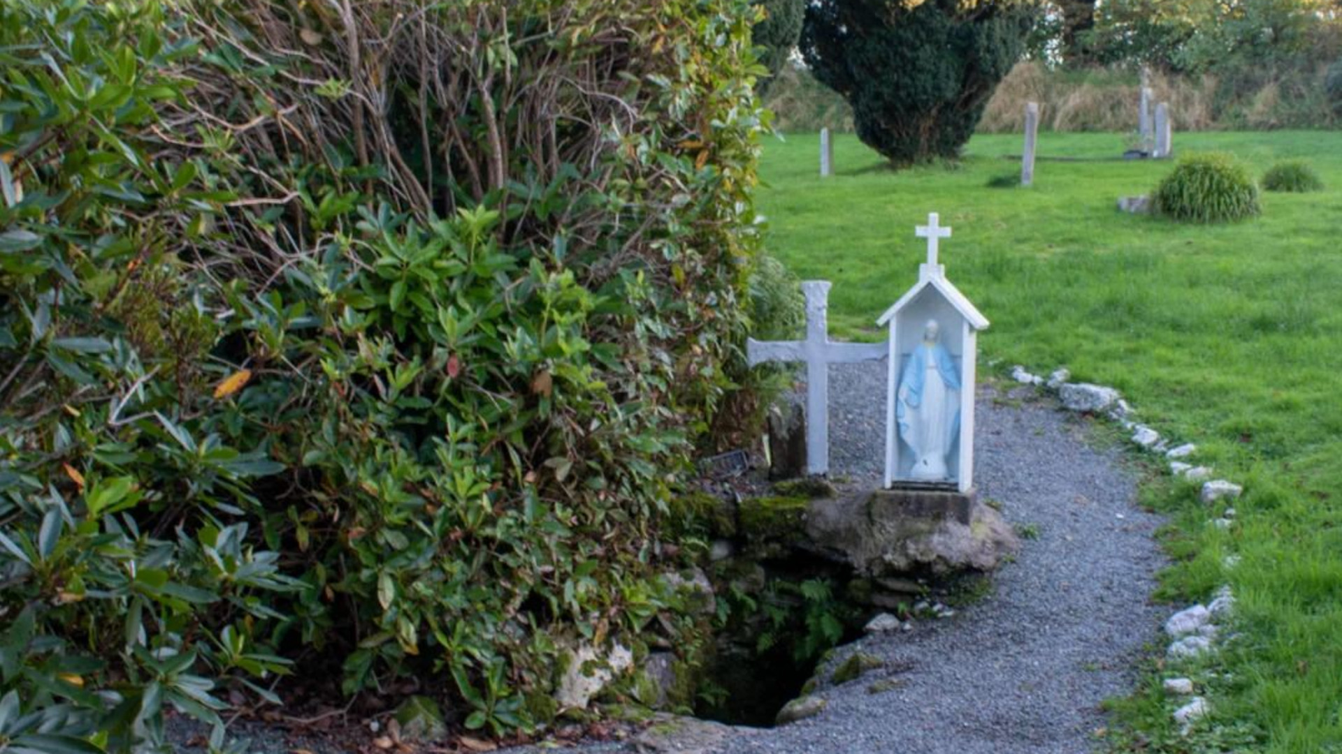 Signature: Ireland's Dublin, Killarney & the Cliffs of Moher