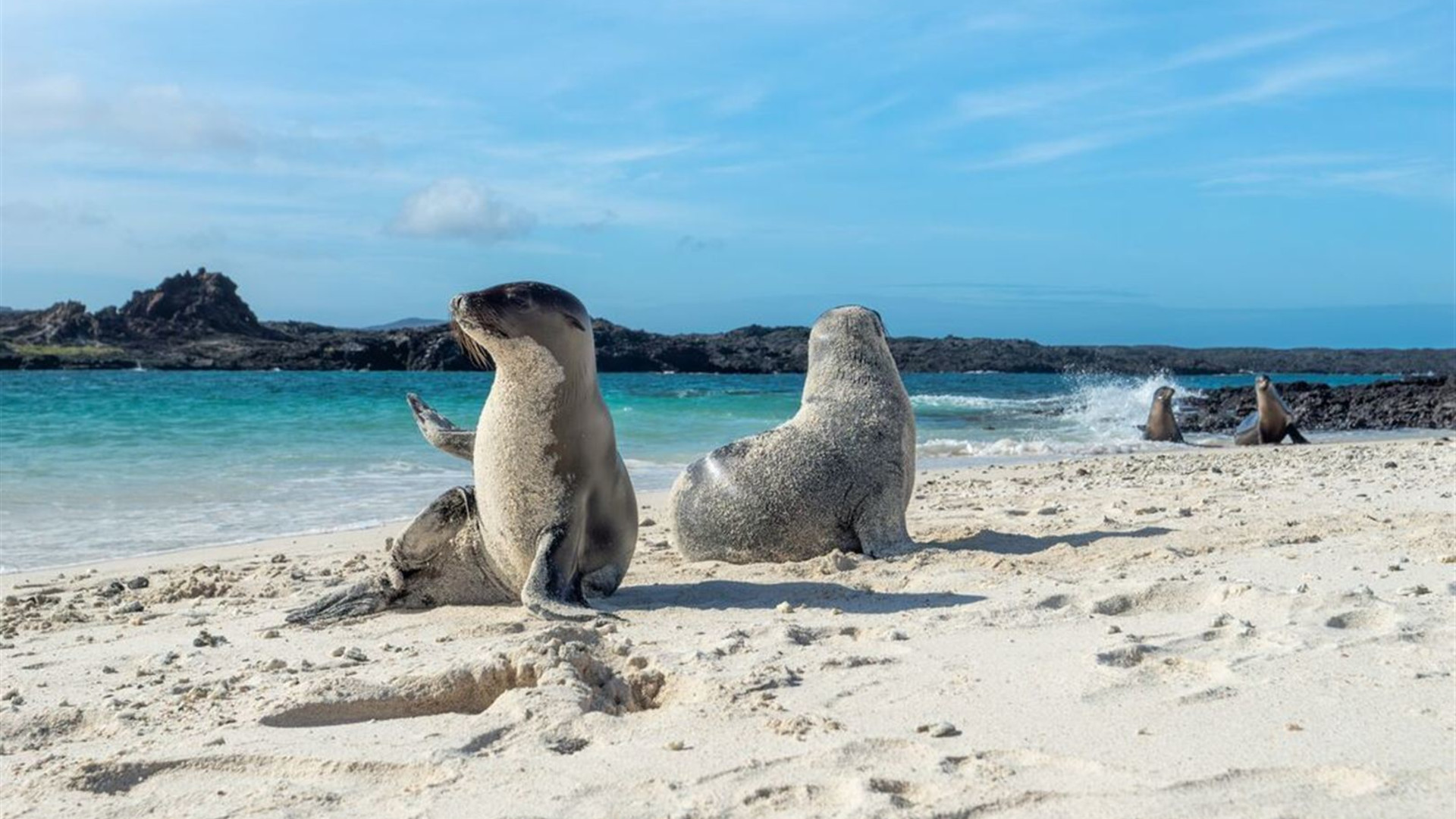 Galapagos Cruise & Peru’s Land of the Incas (Grand Daphne)