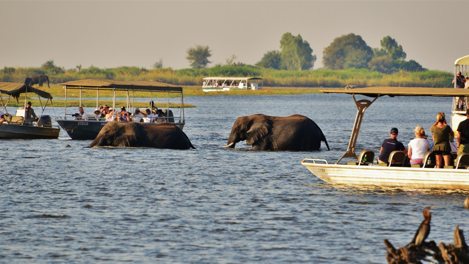 Wilderness of Southern Africa