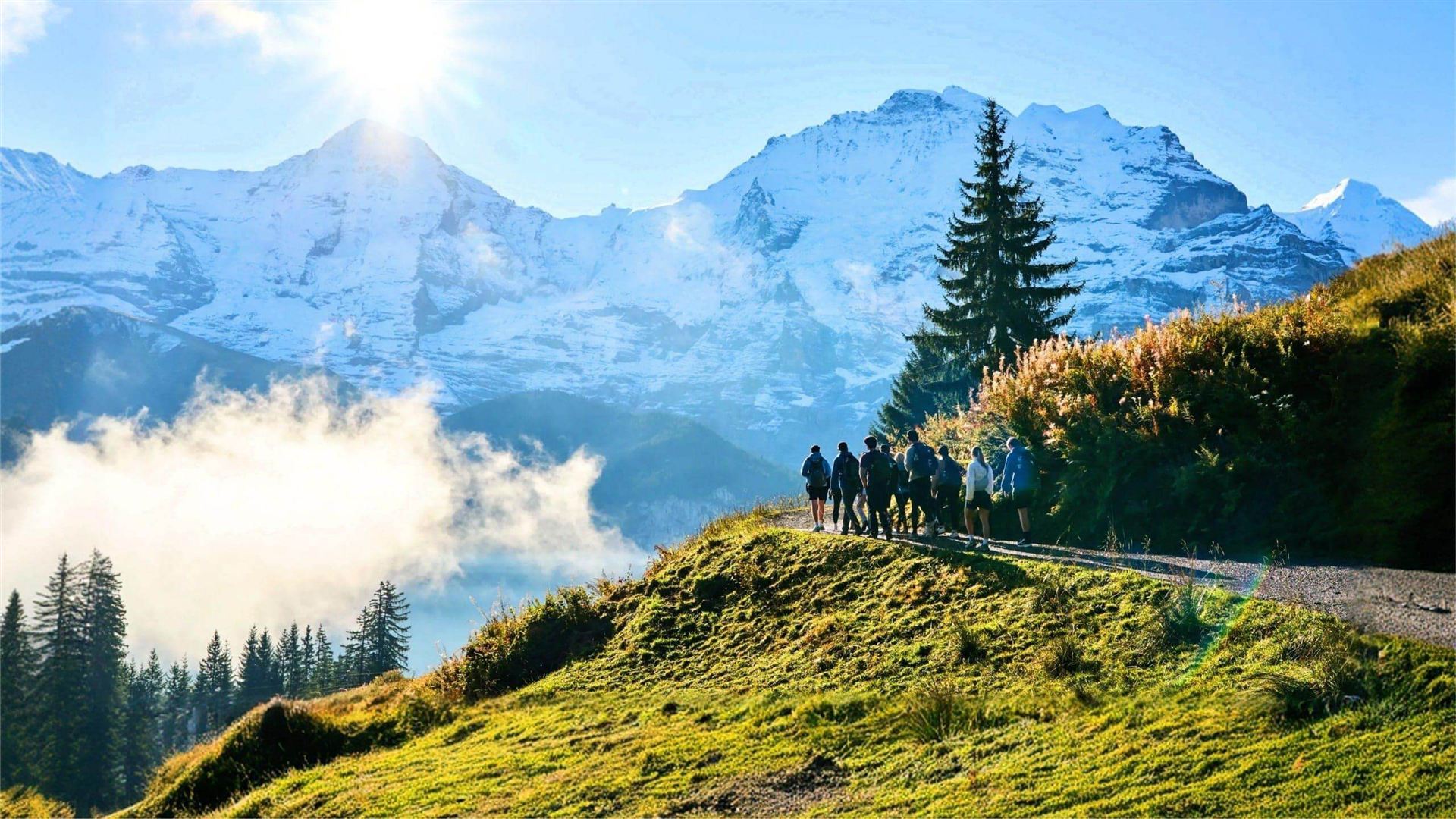 Active Swiss Alps