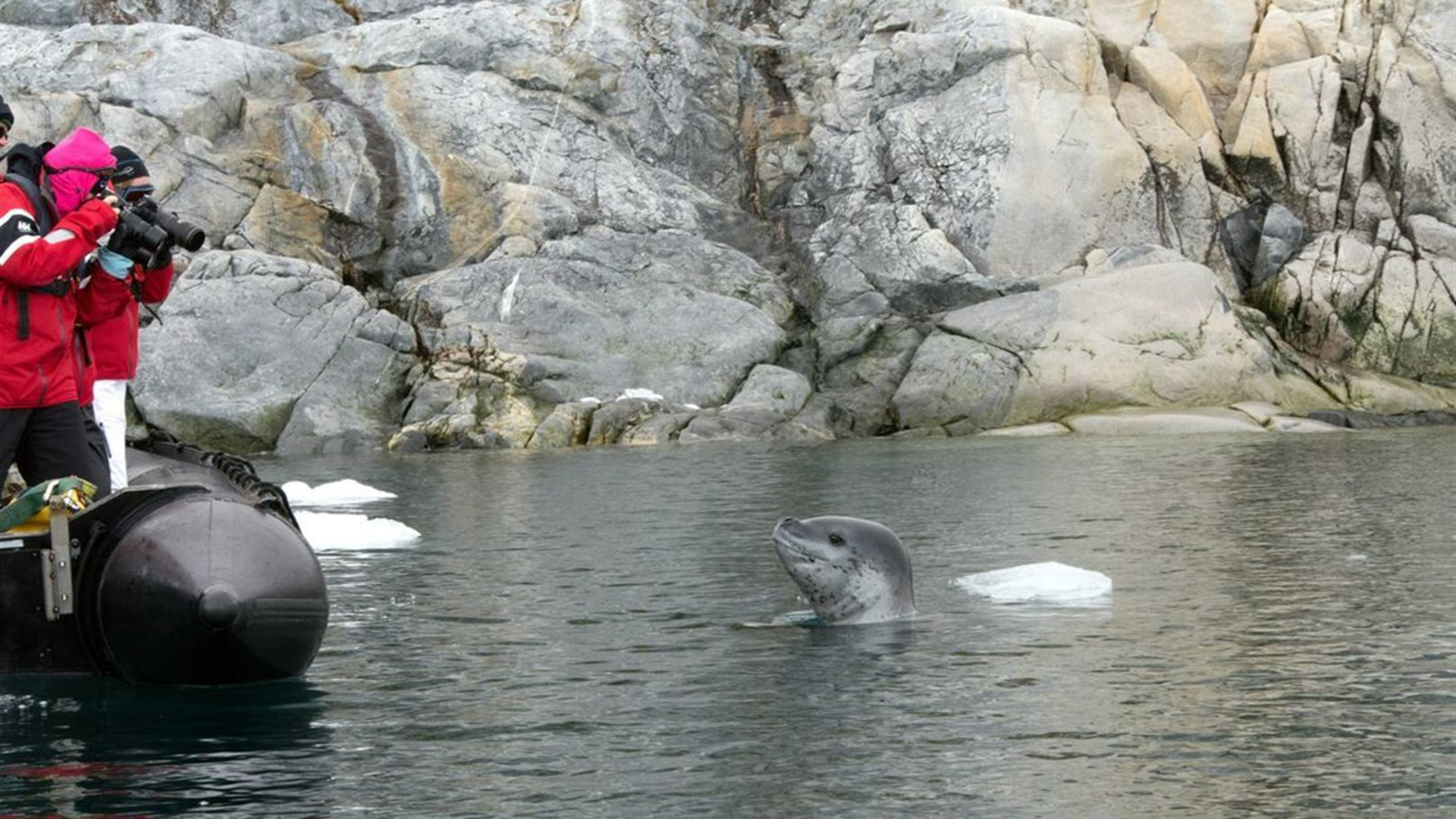 Antarctic Peninsula: An Explorer's Expedition (Ocean Victory) 