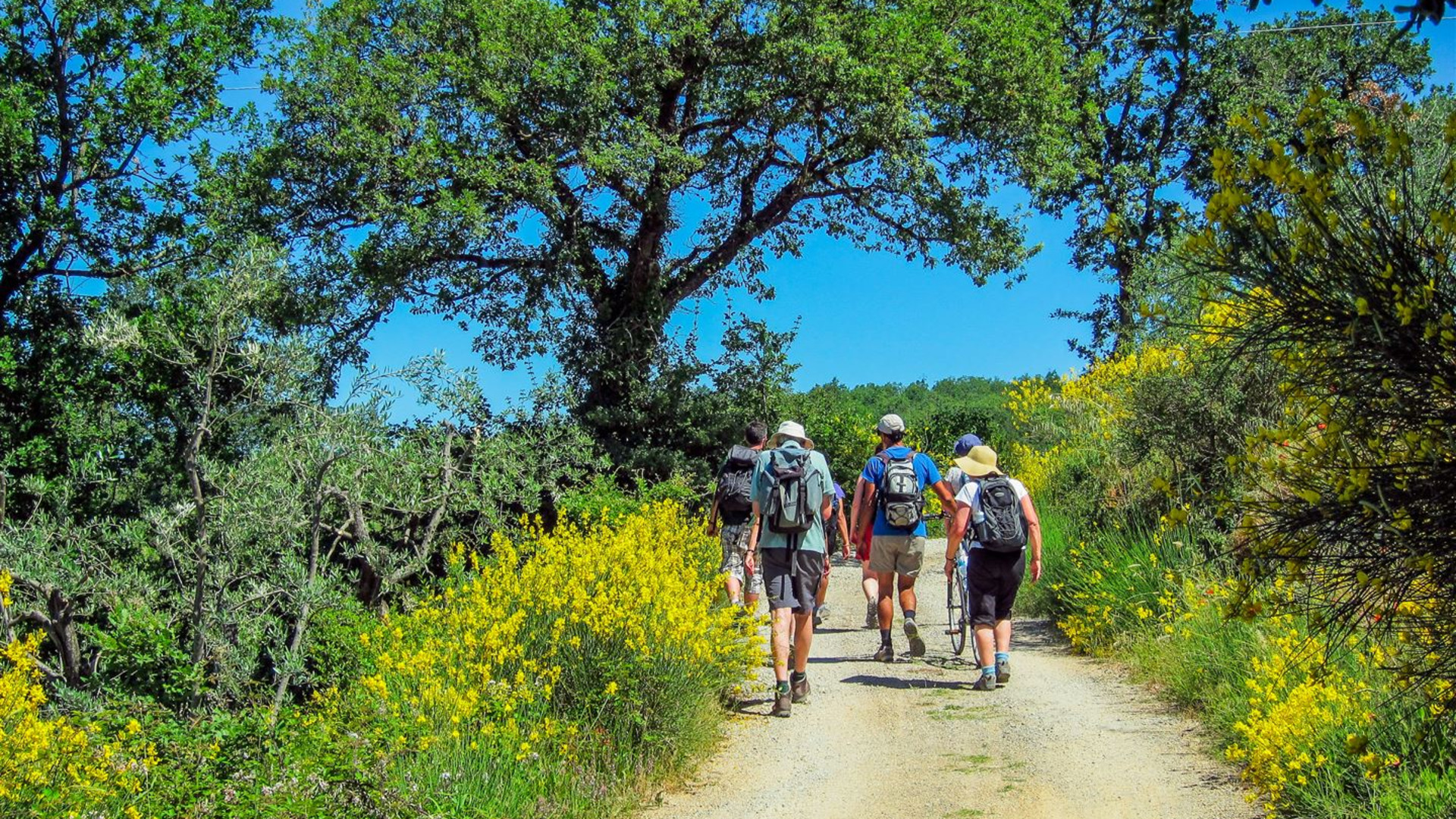 Tuscany Walks & Chianti Wines