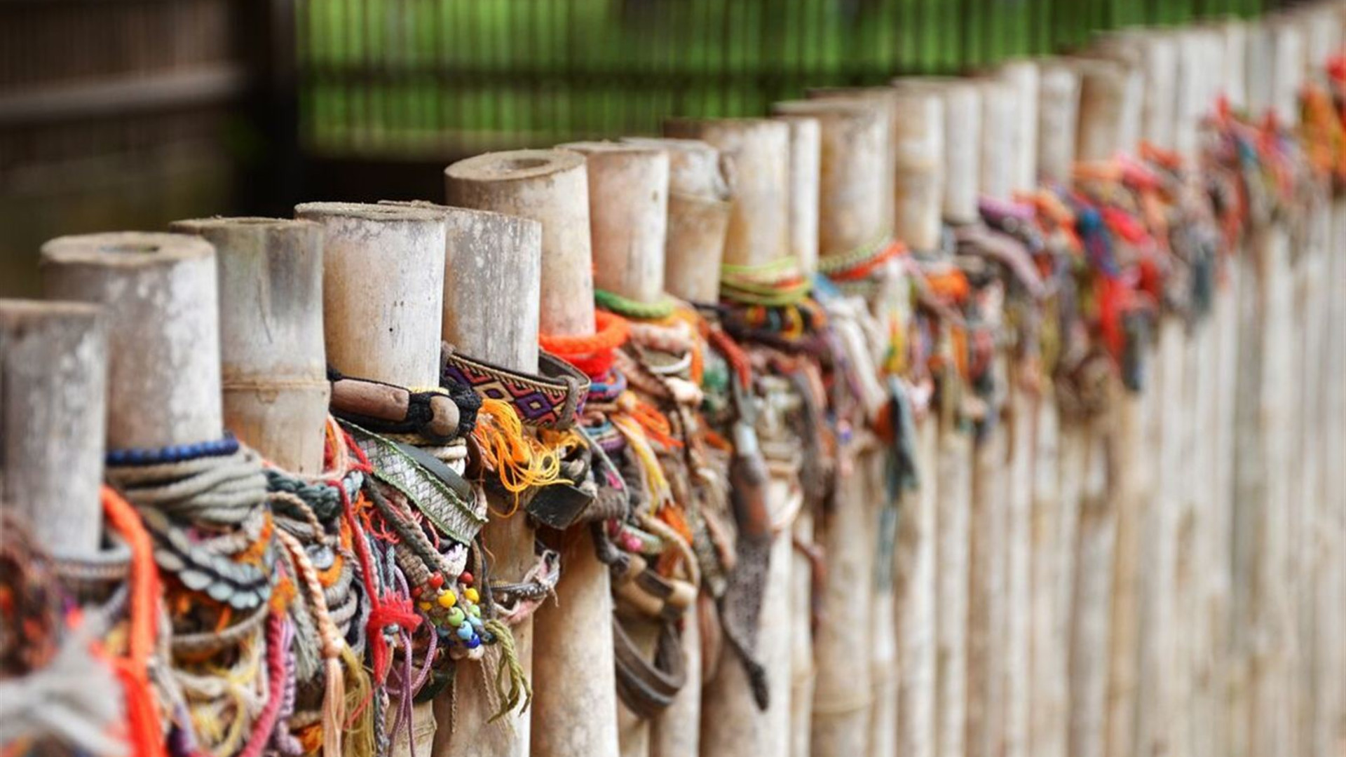 Cambodia & Vietnam Experience