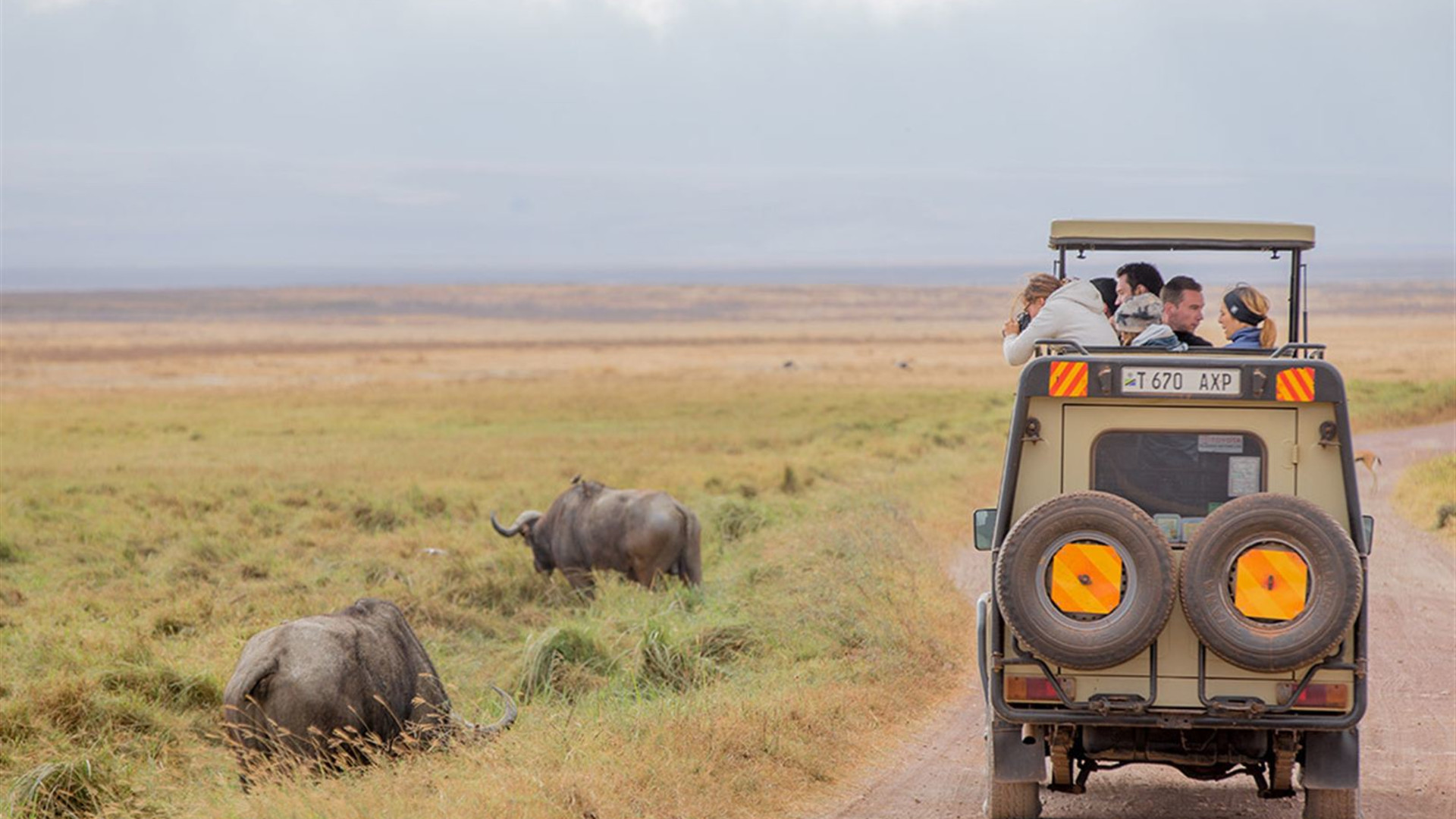 Premium Tanzania