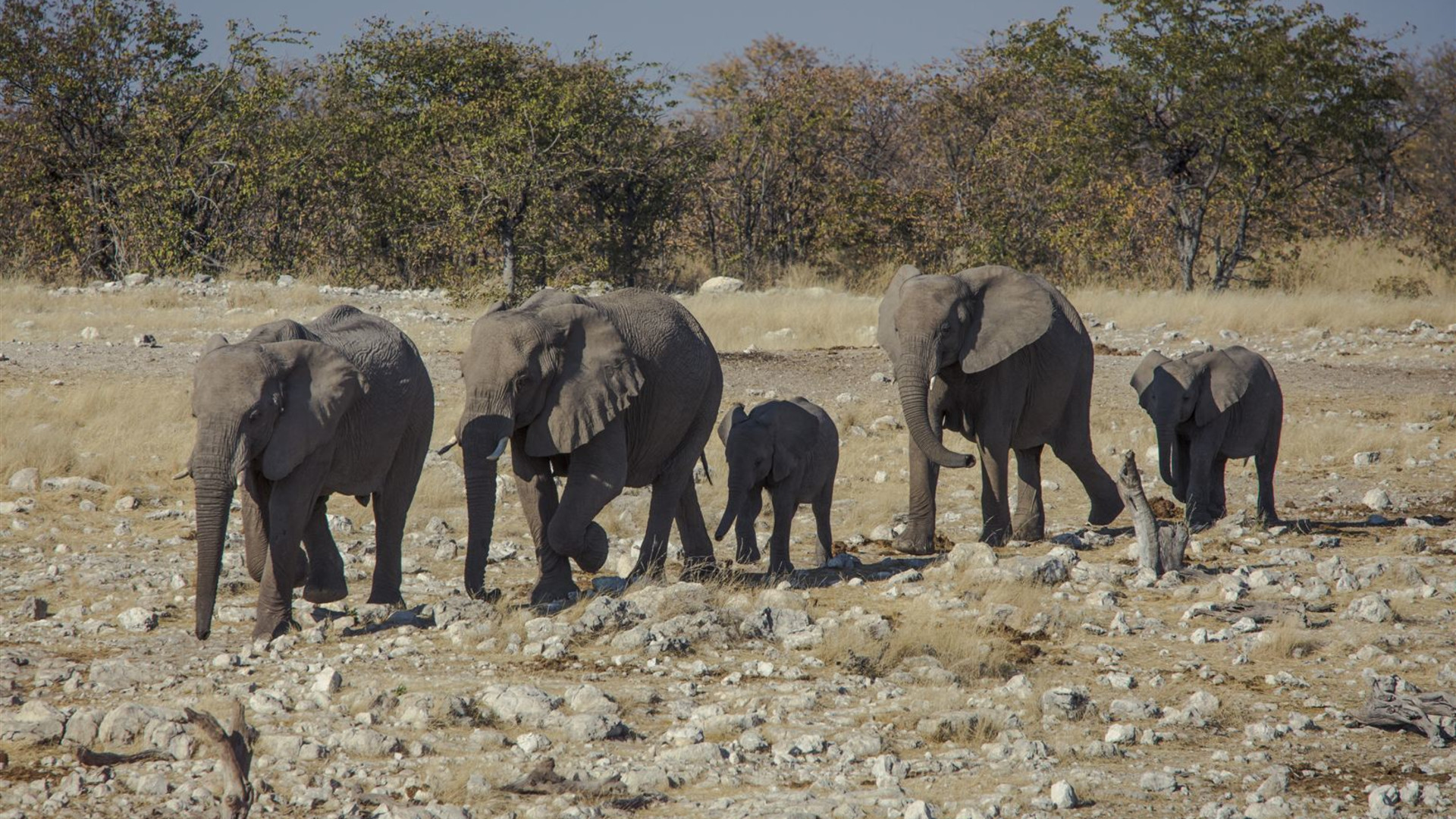 Vom Kap nach Namibia