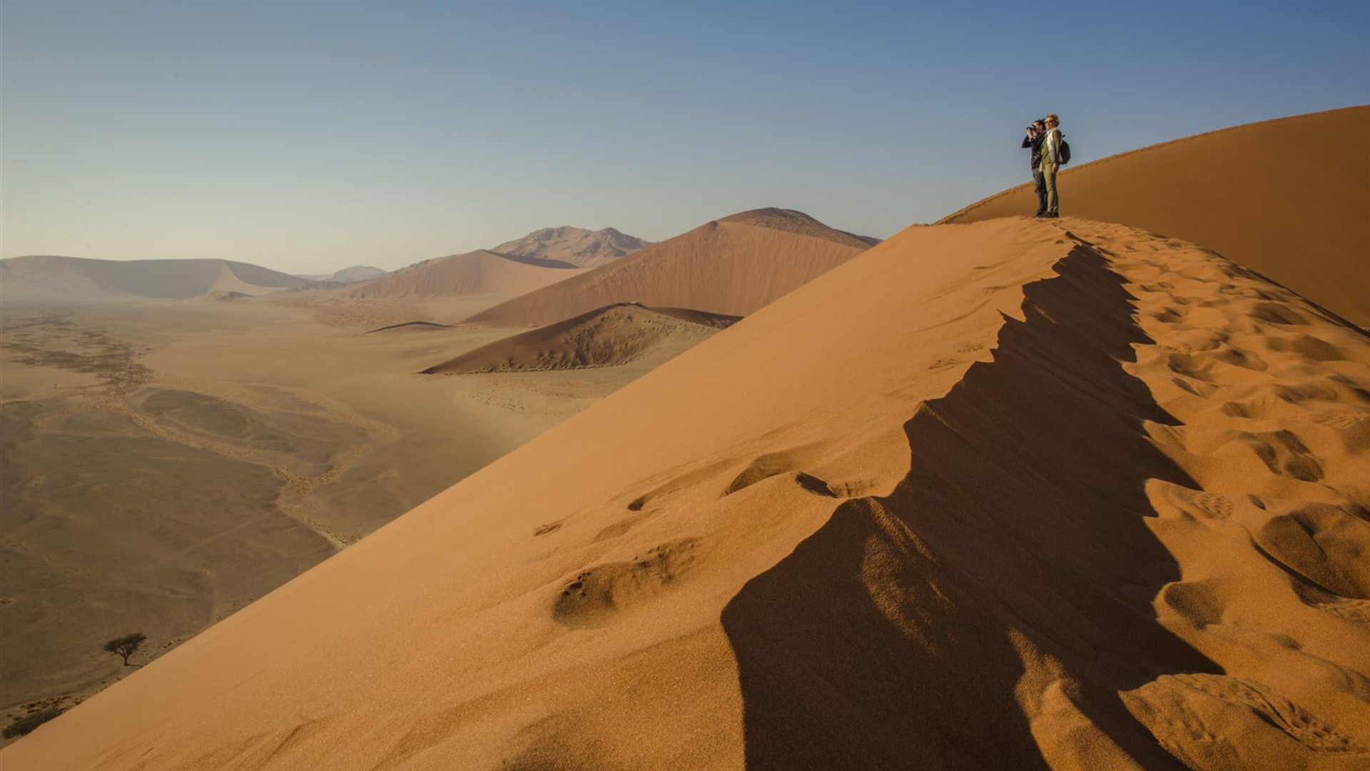 Ultimatives Afrika – Safarifahrten & Savannen