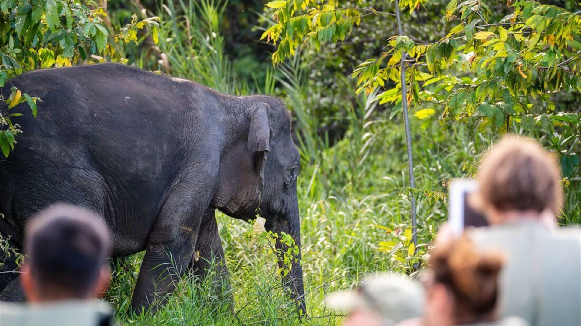 Borneo Family Holiday