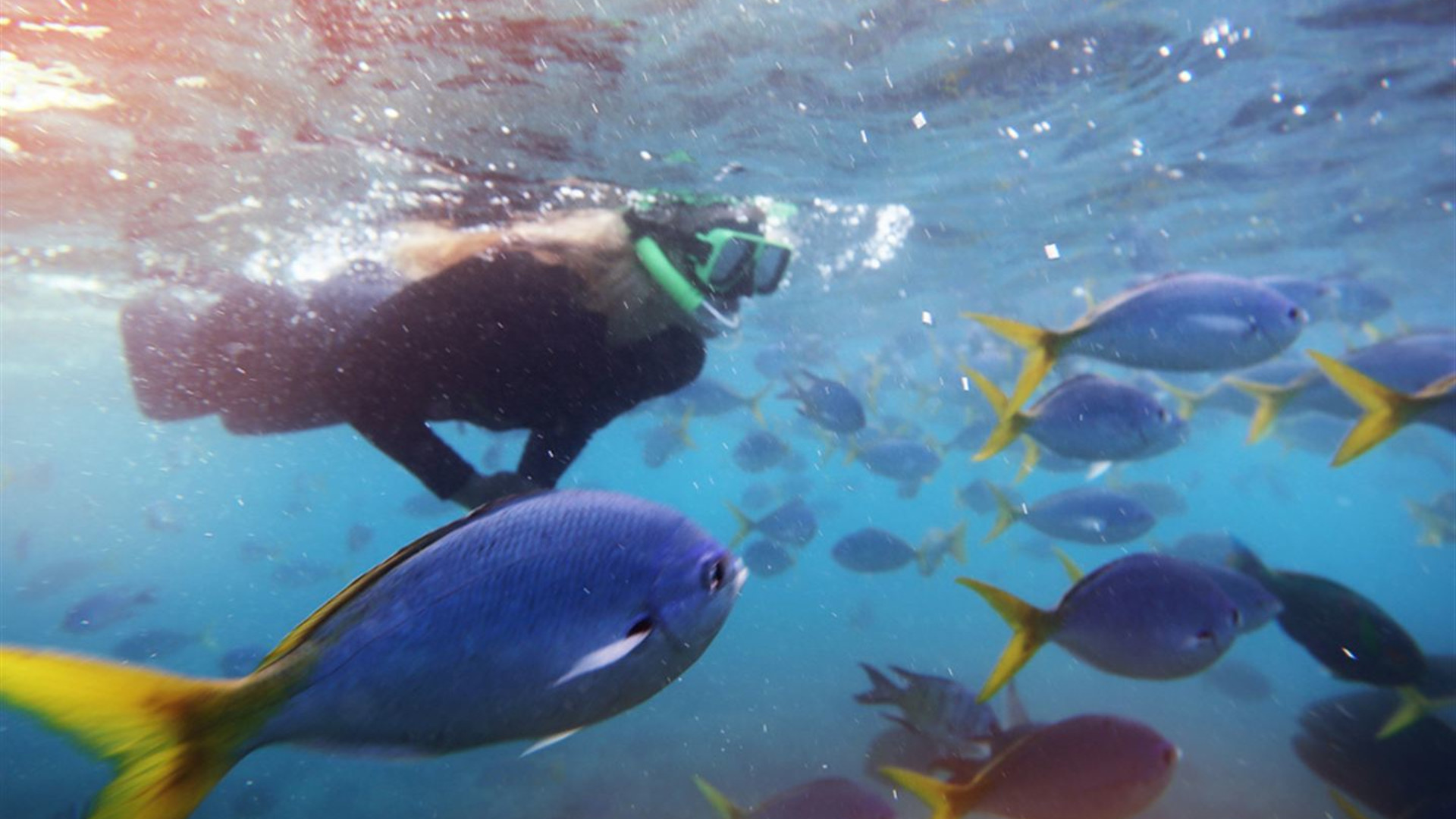 Australien und Neuseeland: Wellen surfen & die Whitsundays