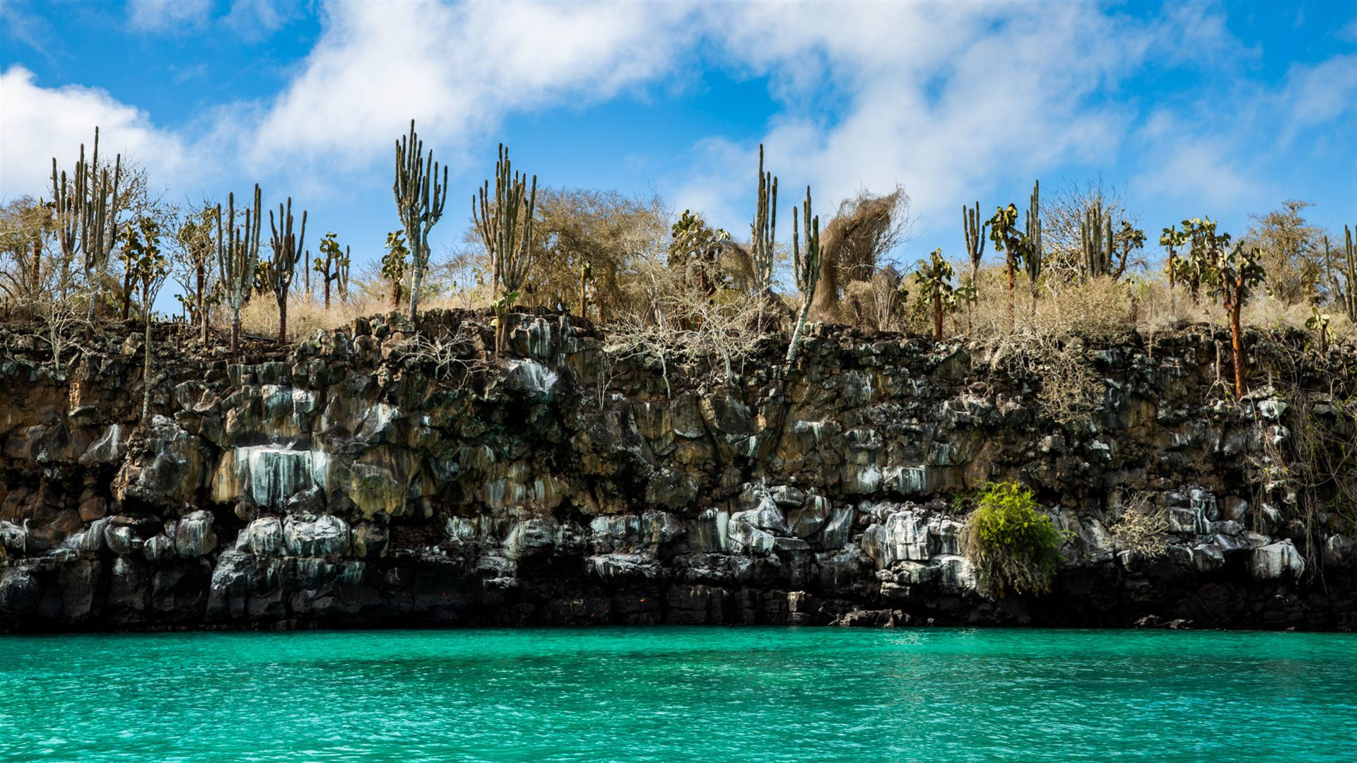Abenteuer auf den Galápagos-Inseln – Schnorcheln & Seelöwen