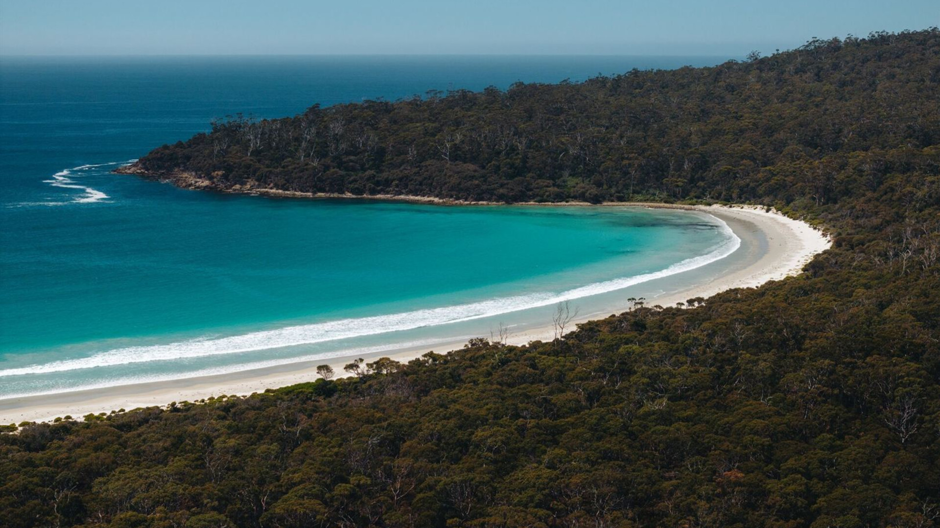 Tasmania's Maria Island Walk (Portered)