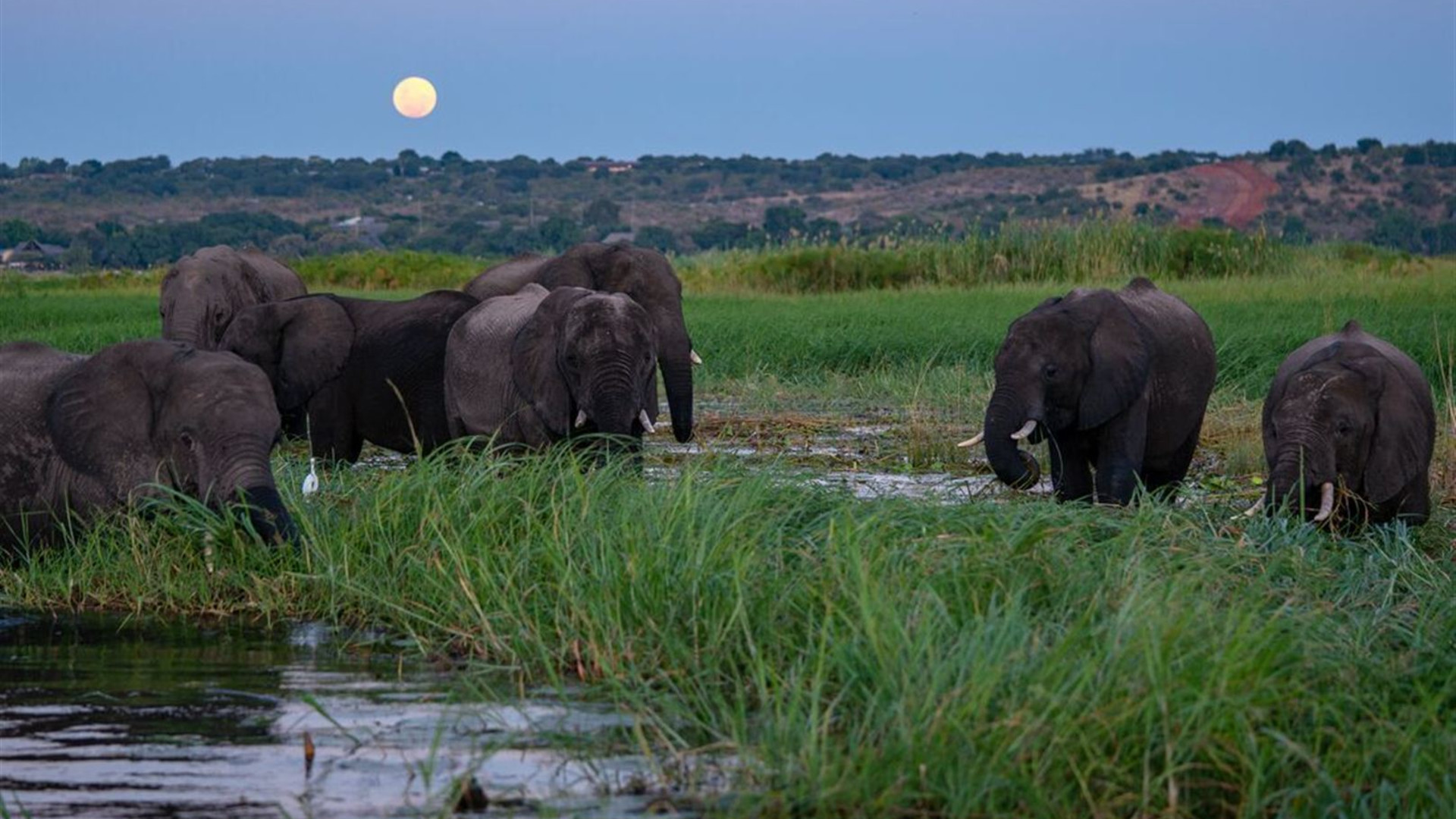 Botswana Highlights