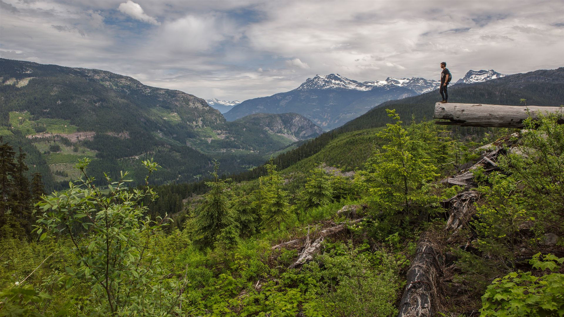 Kanadische Rocky Mountains Express