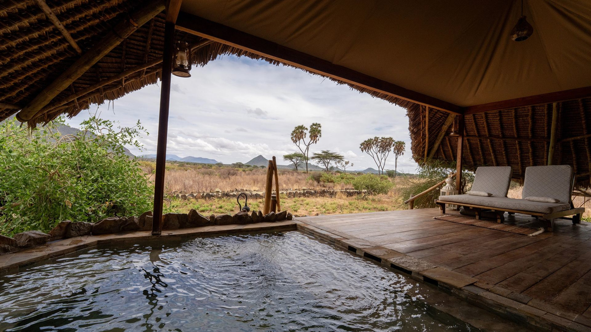 Signature: Kenya & Rwanda — From the Mara to the Mist