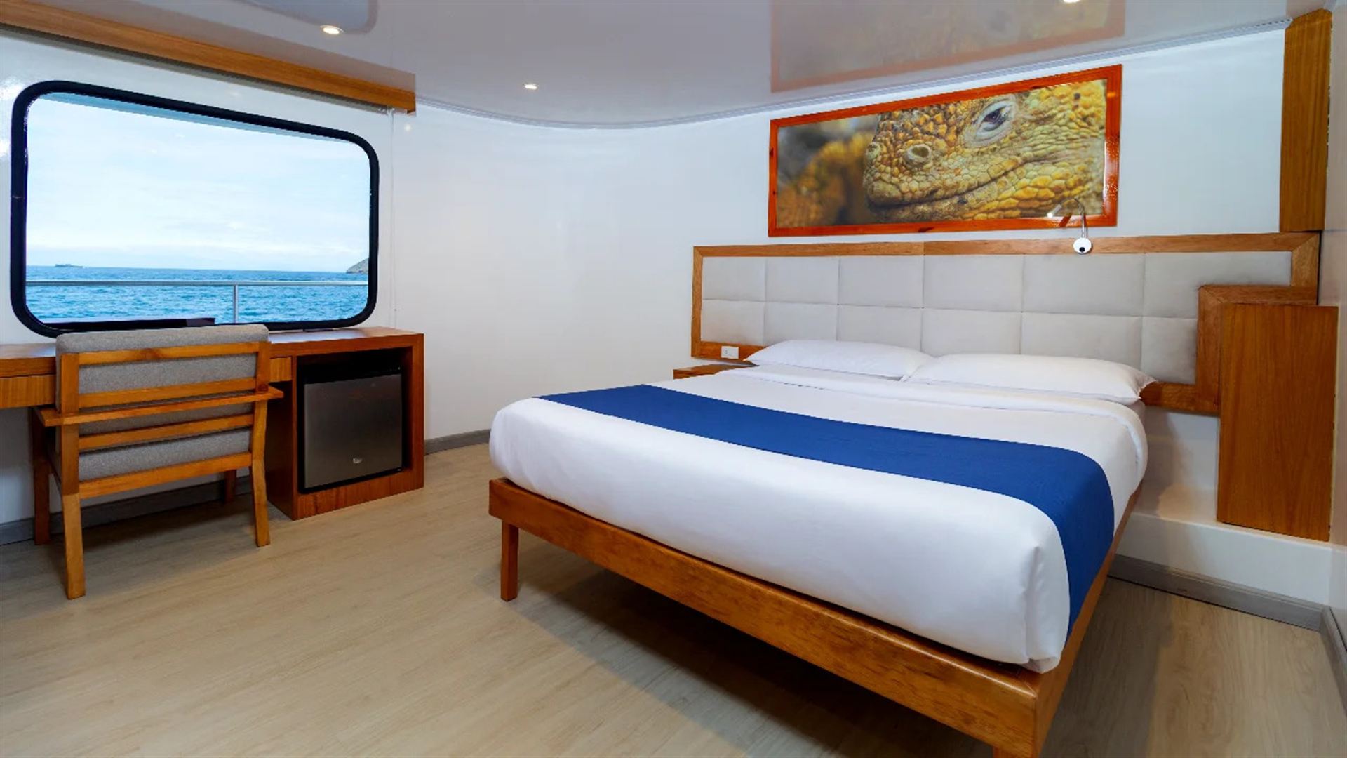 Galapagos – West and Central Islands aboard the Reina Silvia Voyager (Cruise Only)