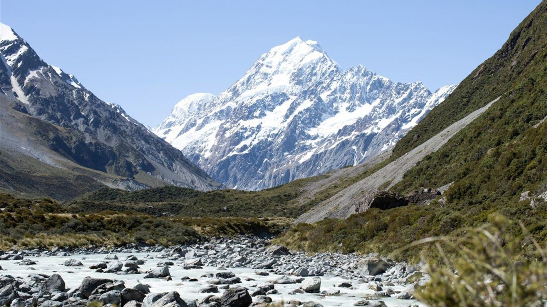 New Zealand Amplified