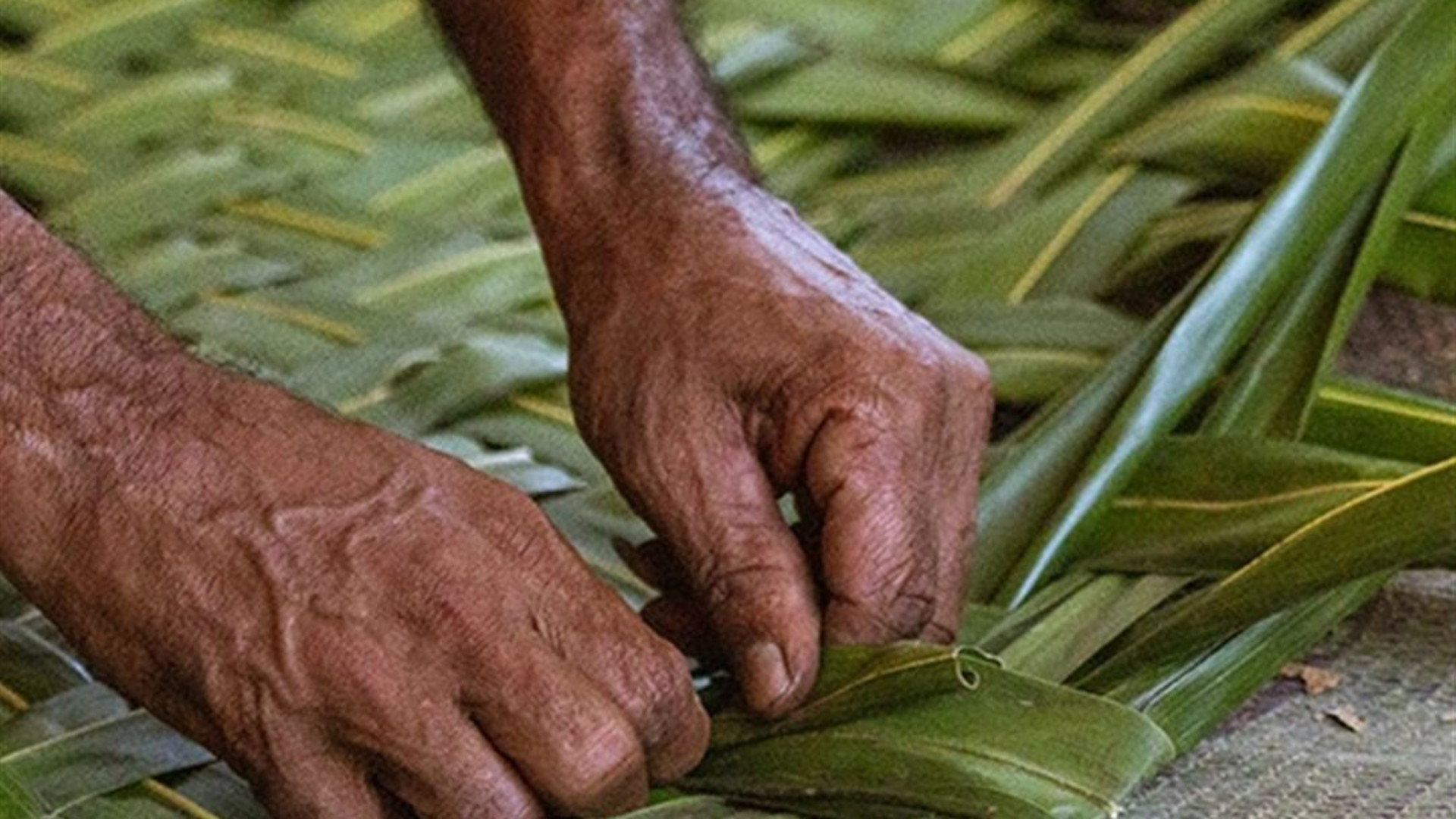 Signature: Sri Lanka’s Highlands, Yala & Galle