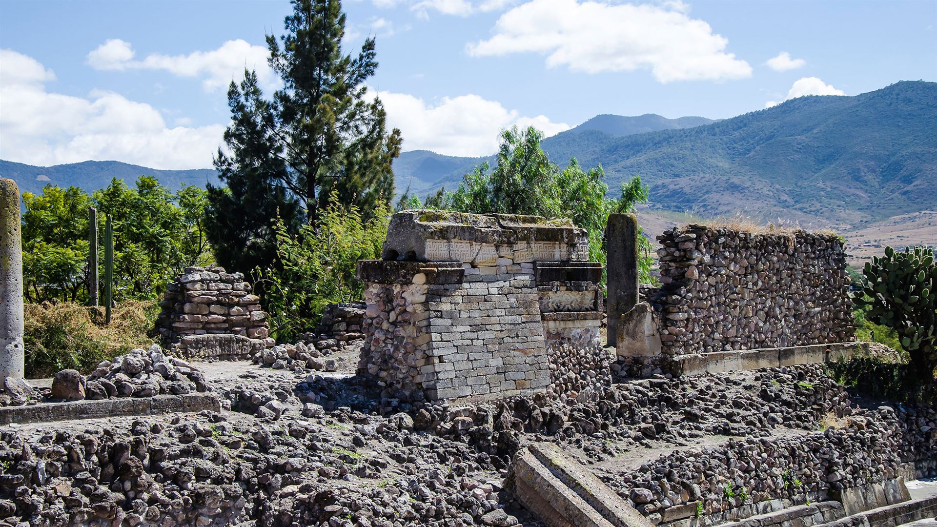 Central Mexico & Yucatan: Mexico City, Oaxaca, Oh Yeah