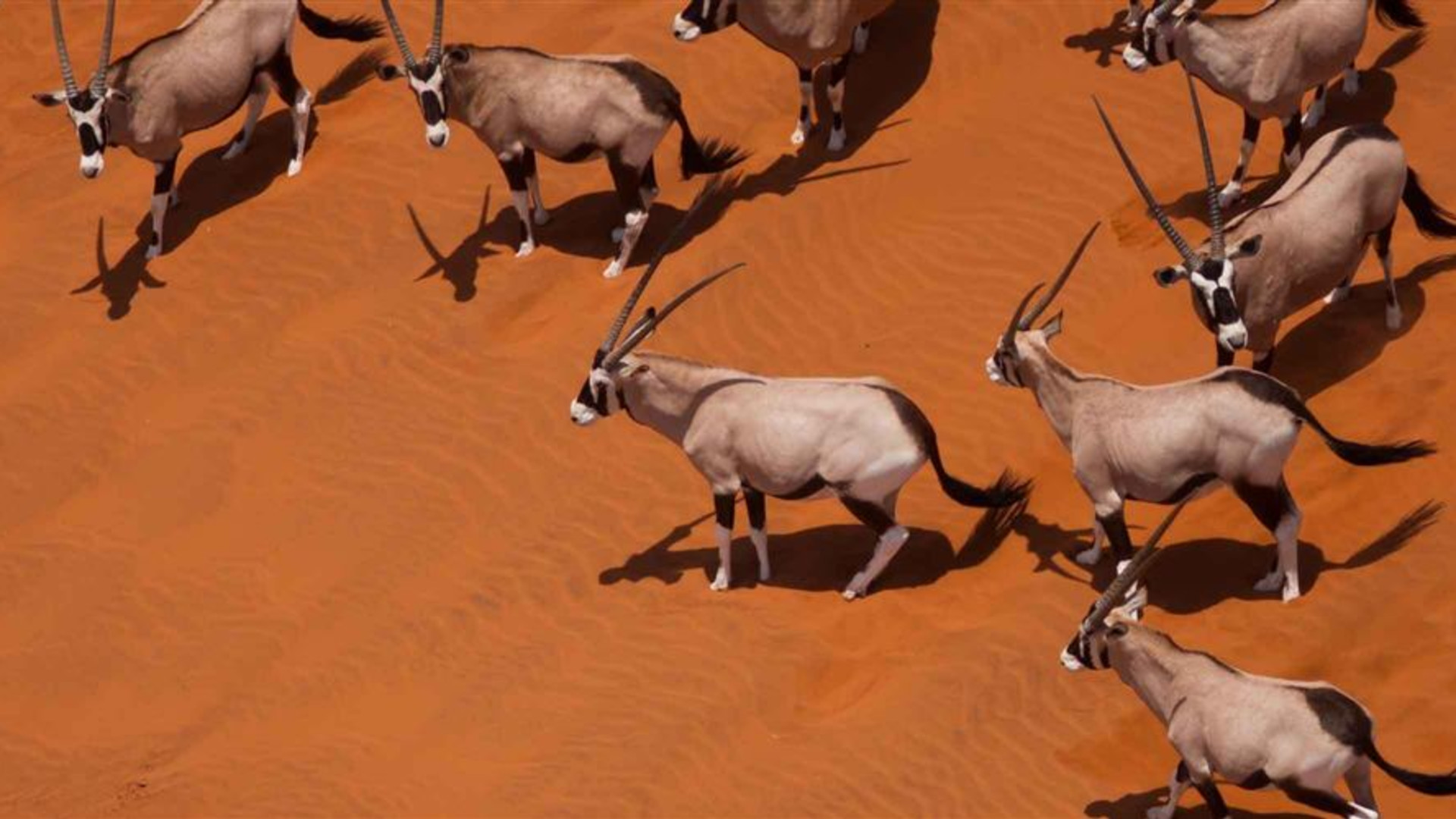 Southern Africa Adventure