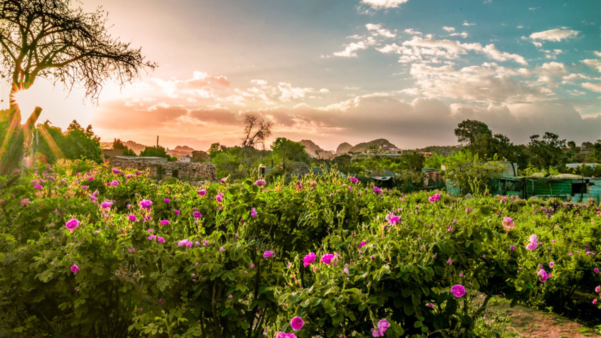 Saudi Arabia Expedition - Asir Adventure  