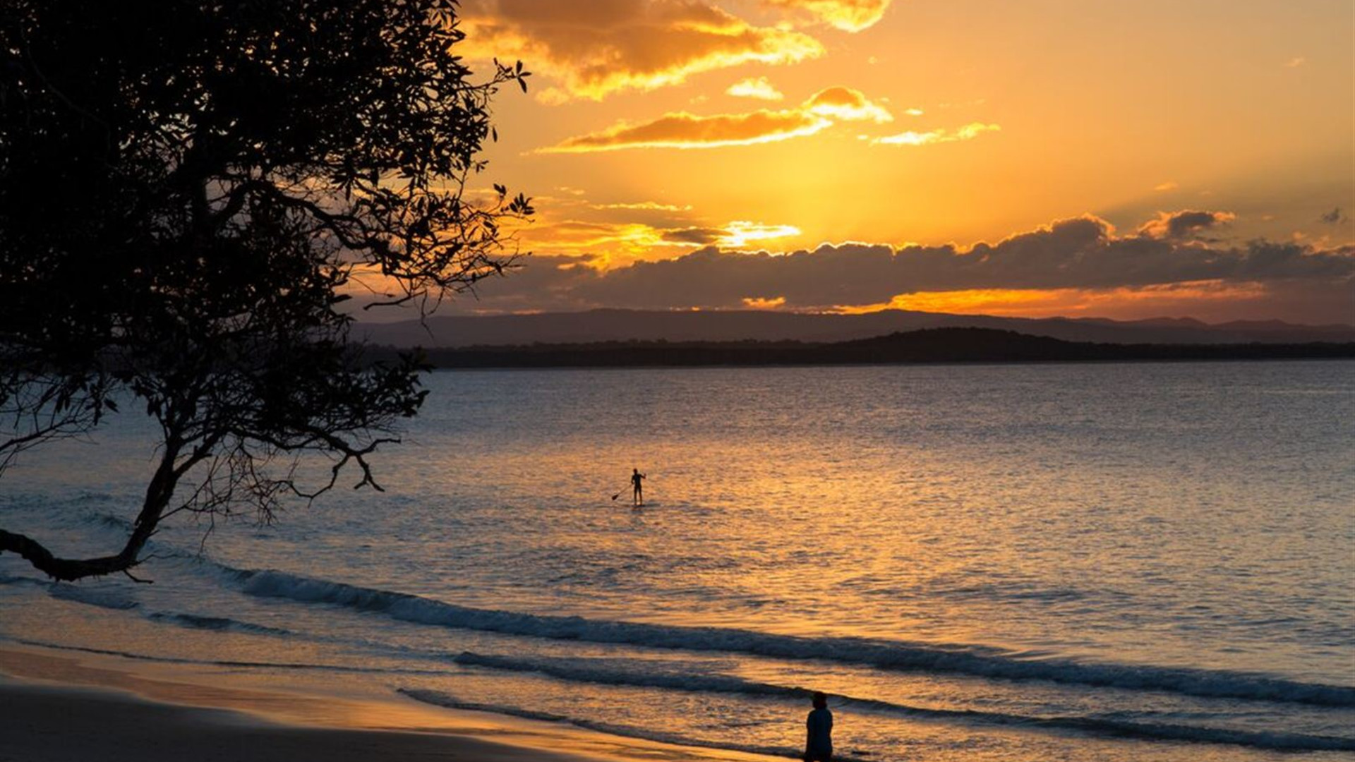 Essential Brisbane to Cairns