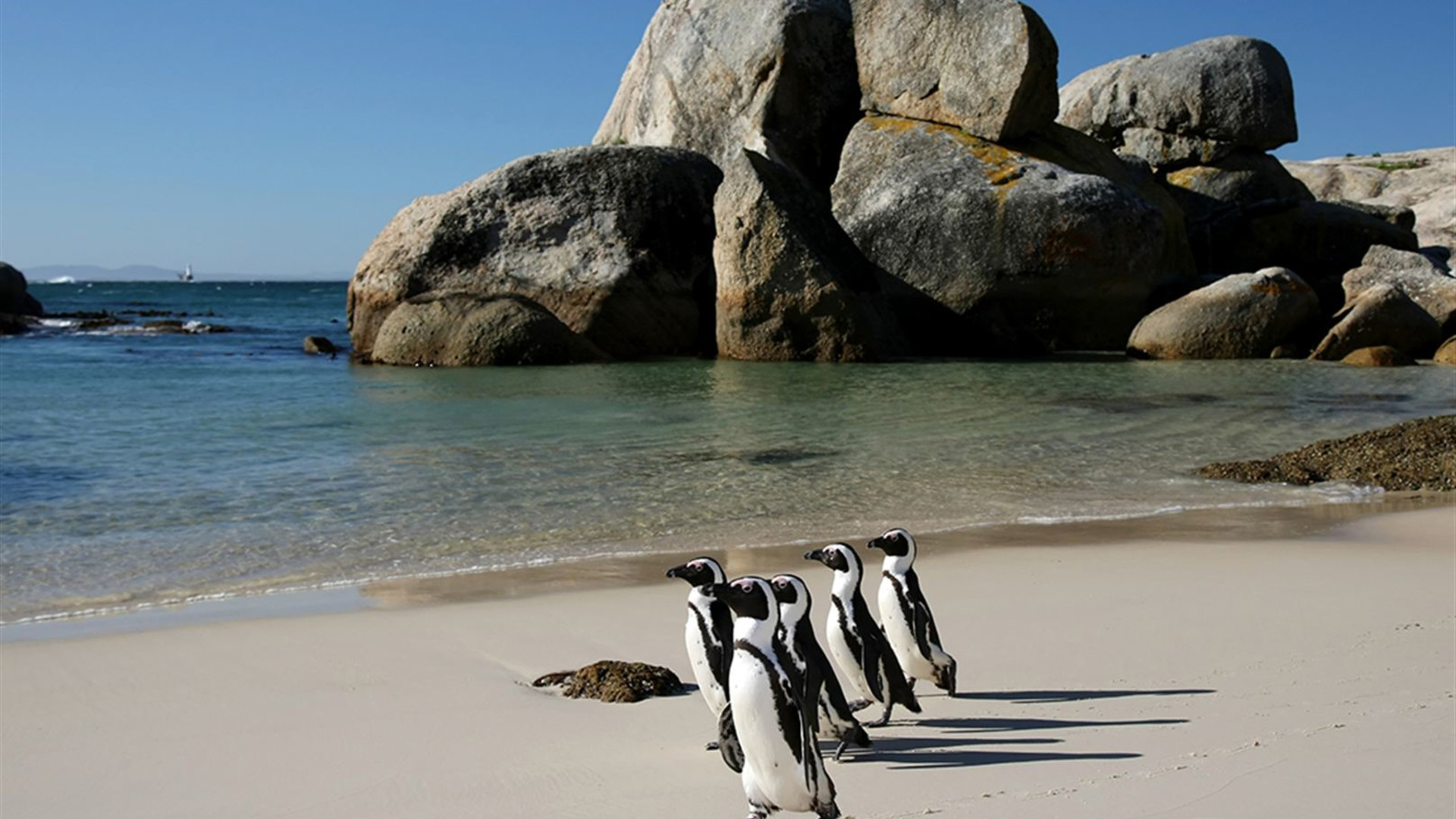 Kruger, Coast & Cape