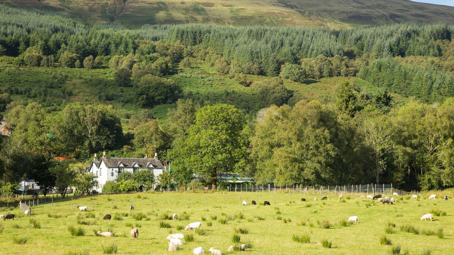 Best of Ireland and Scotland