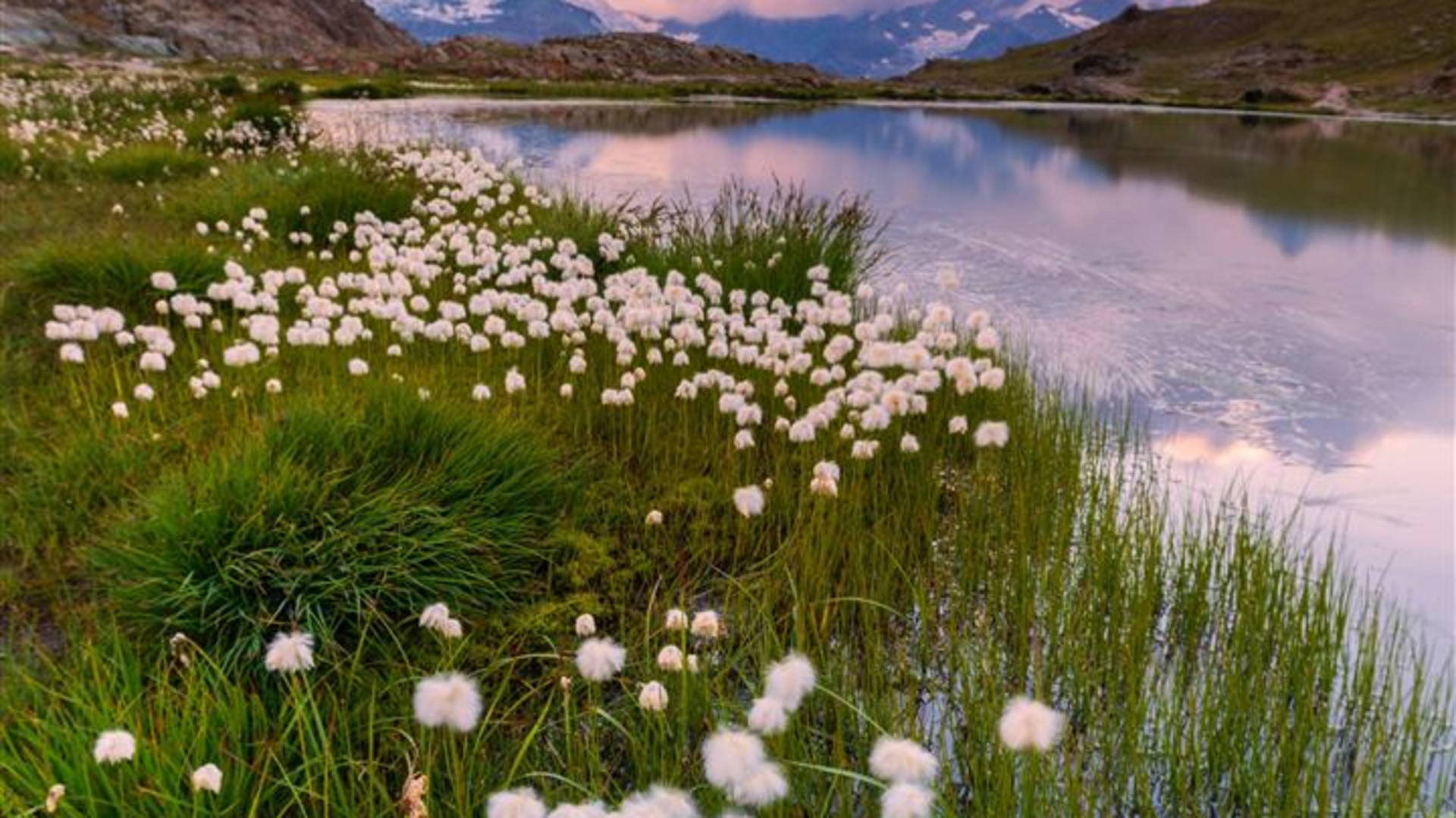 Switzerland and Austria