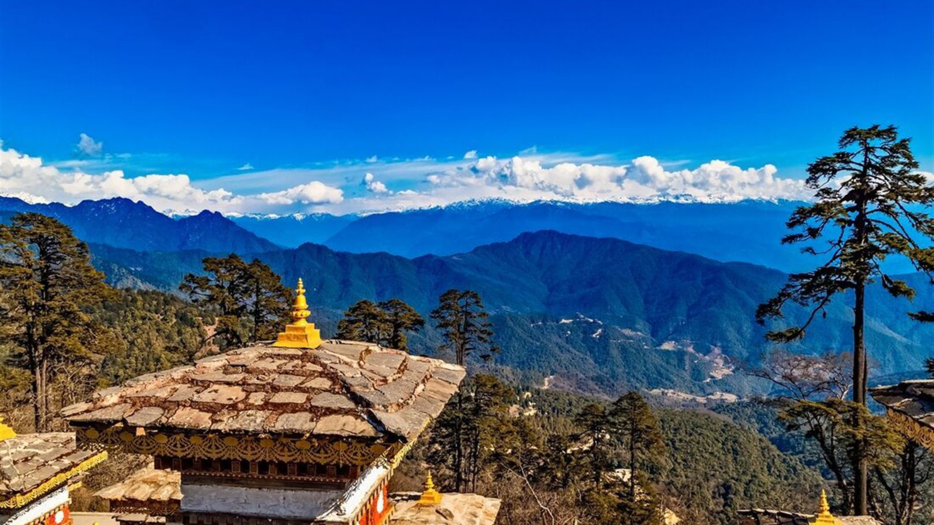 Bhutan Discovered