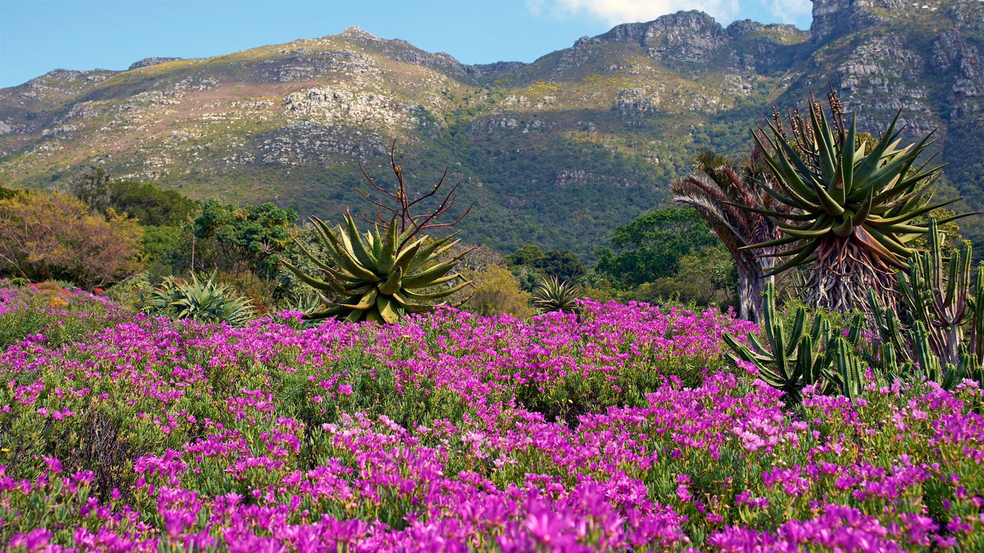 Journeys: Highlights im Süden Afrikas