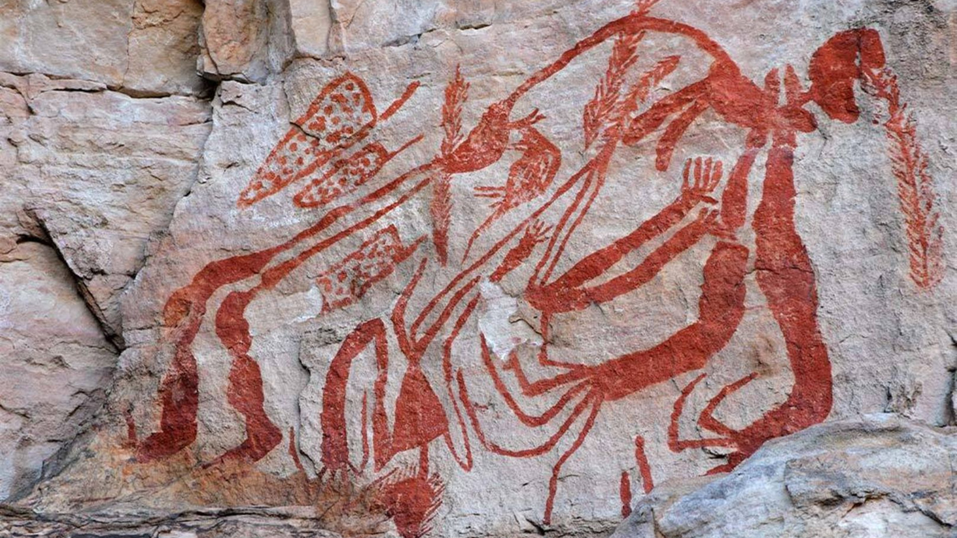 Kakadu, Katherine & Litchfield Explorer