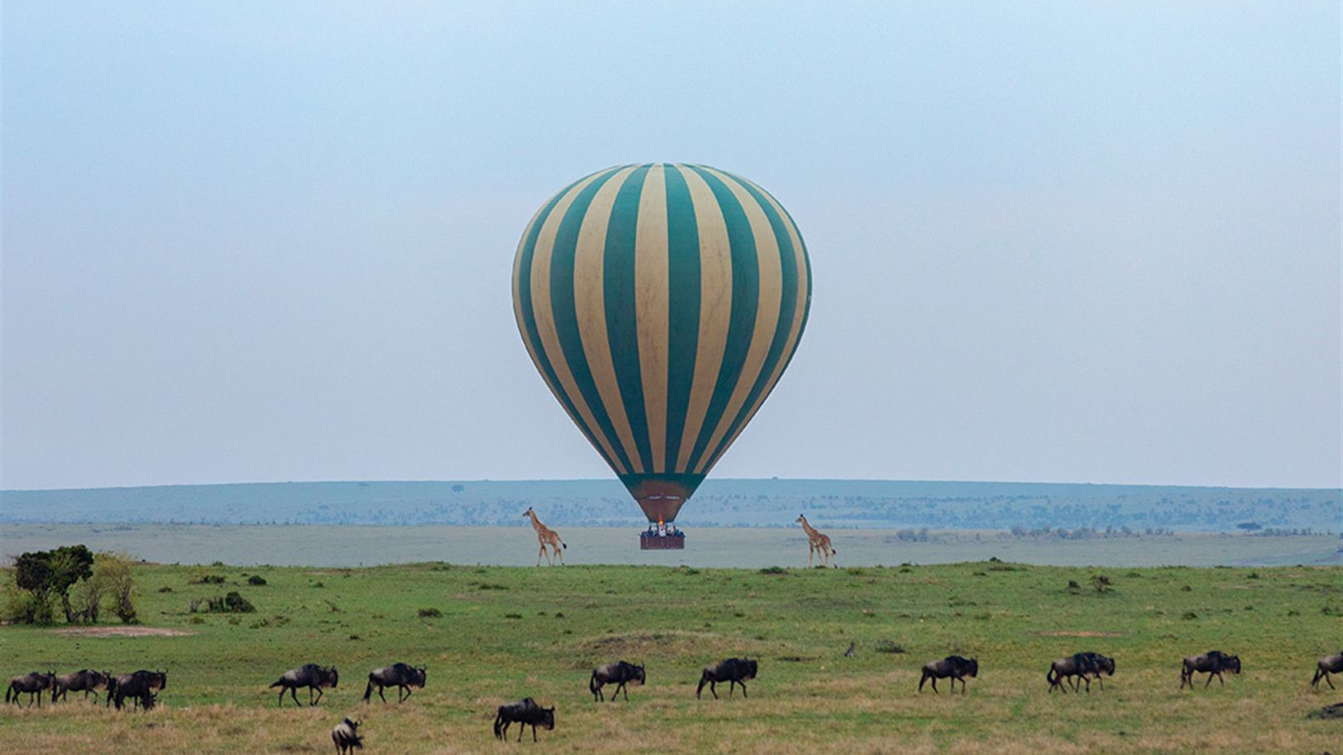 Premium Kenya & Tanzania
