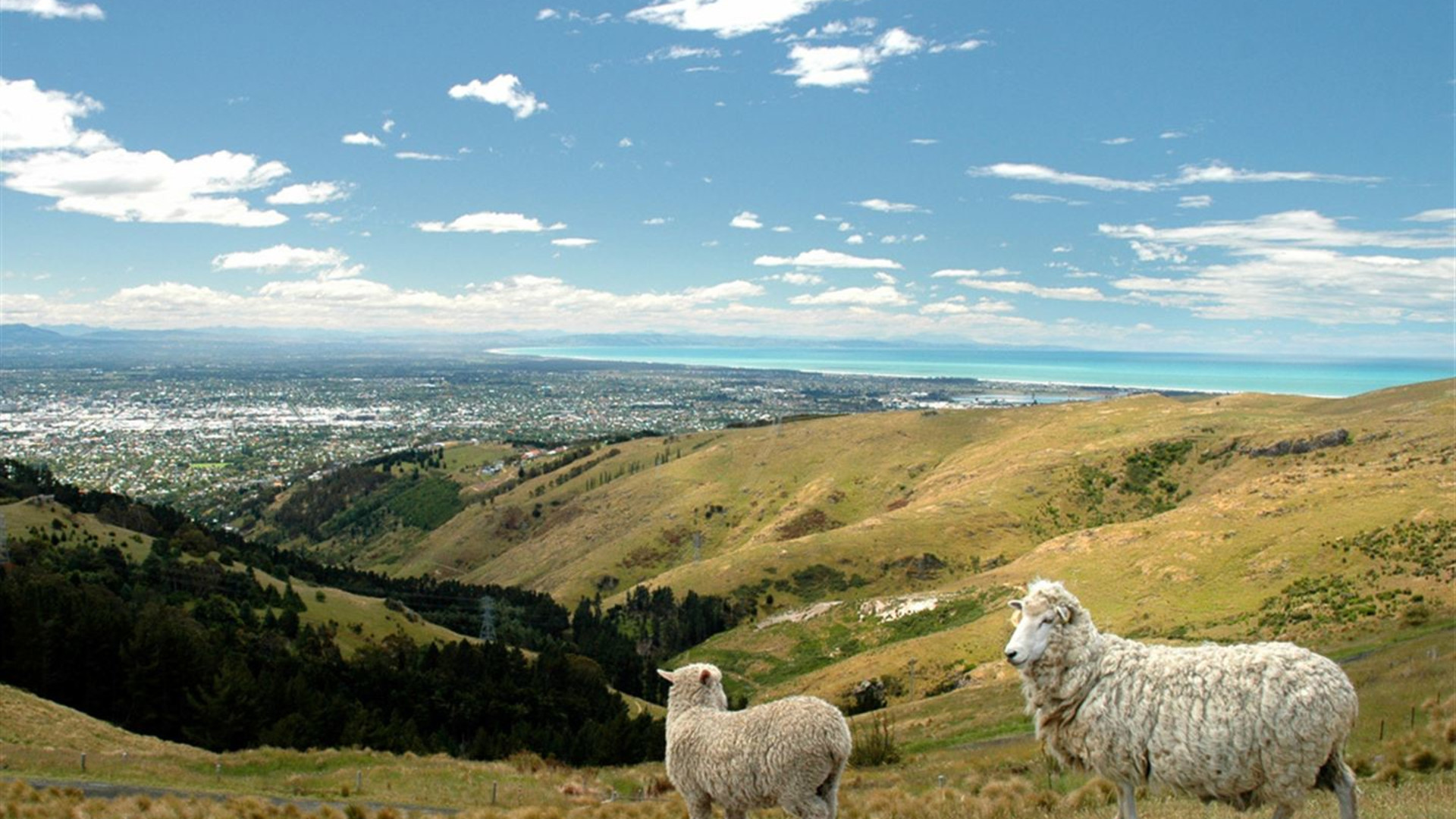 Journeys: Discover New Zealand