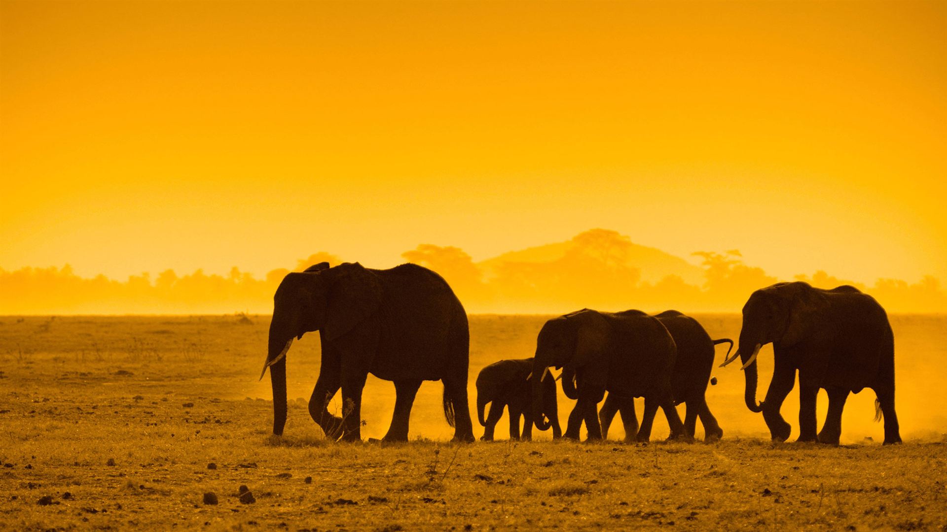 Kenia & Tansania: Serengeti Safari Abenteuer