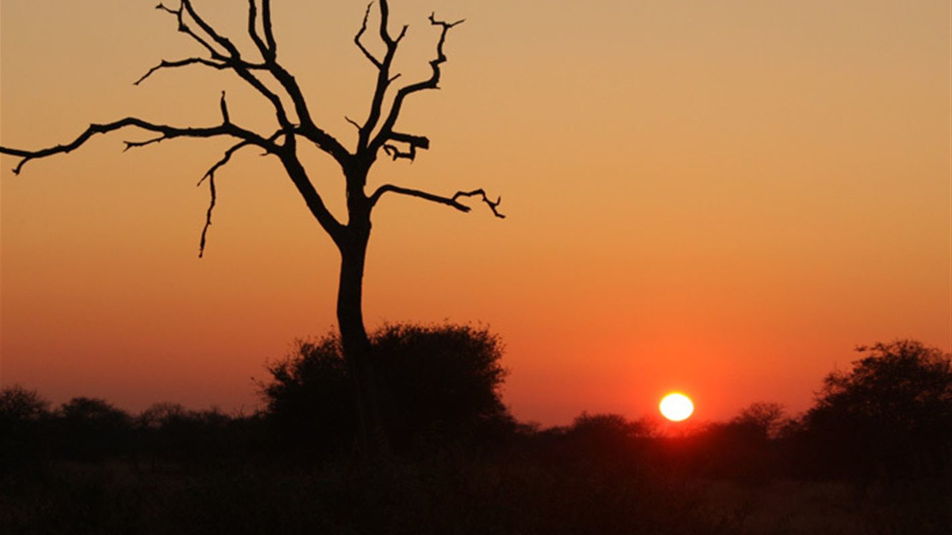 Premium Southern Africa in Depth