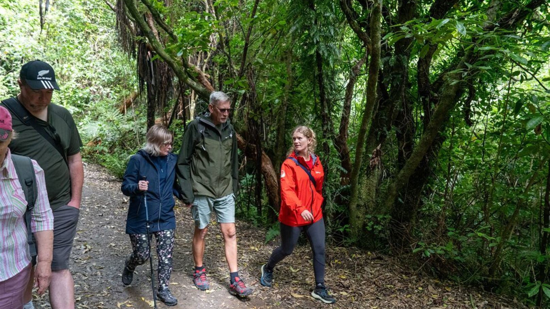 New Zealand Northern Trail (Northbound)