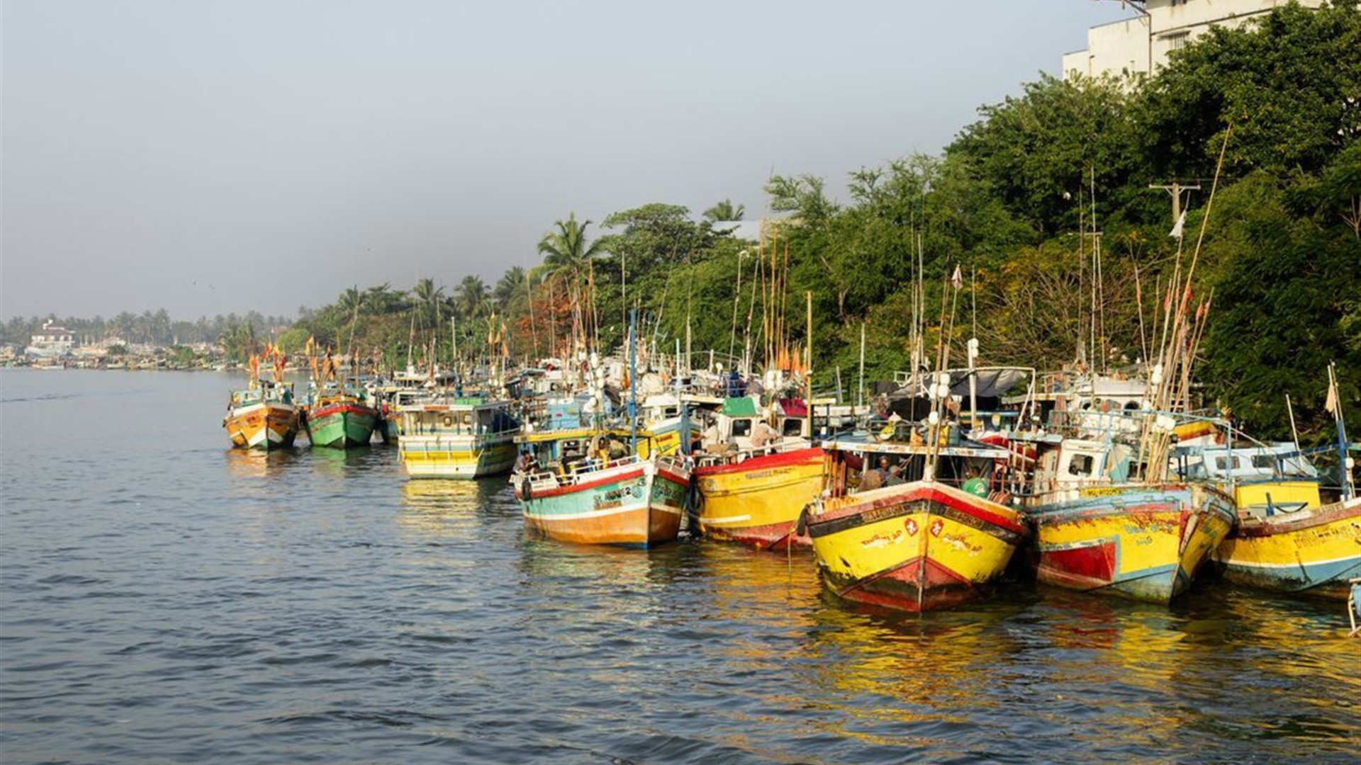 Essential Sri Lanka