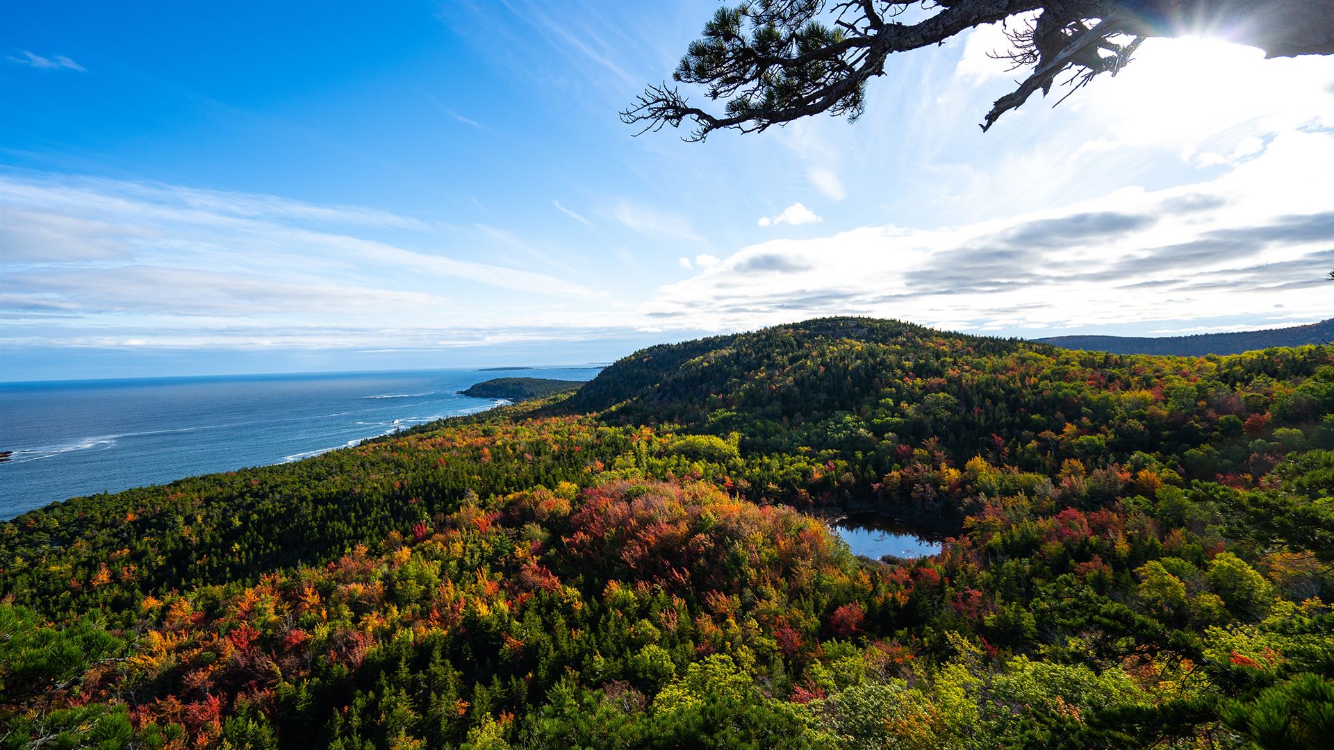 Roaming Coastal Maine