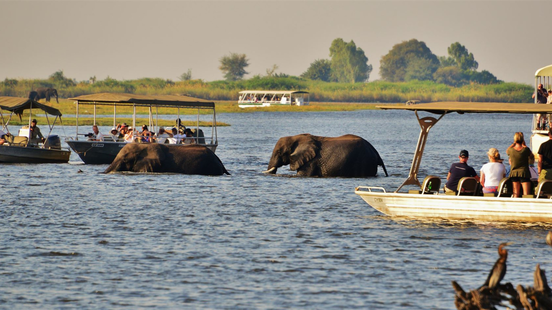Wilderness of Southern Africa
