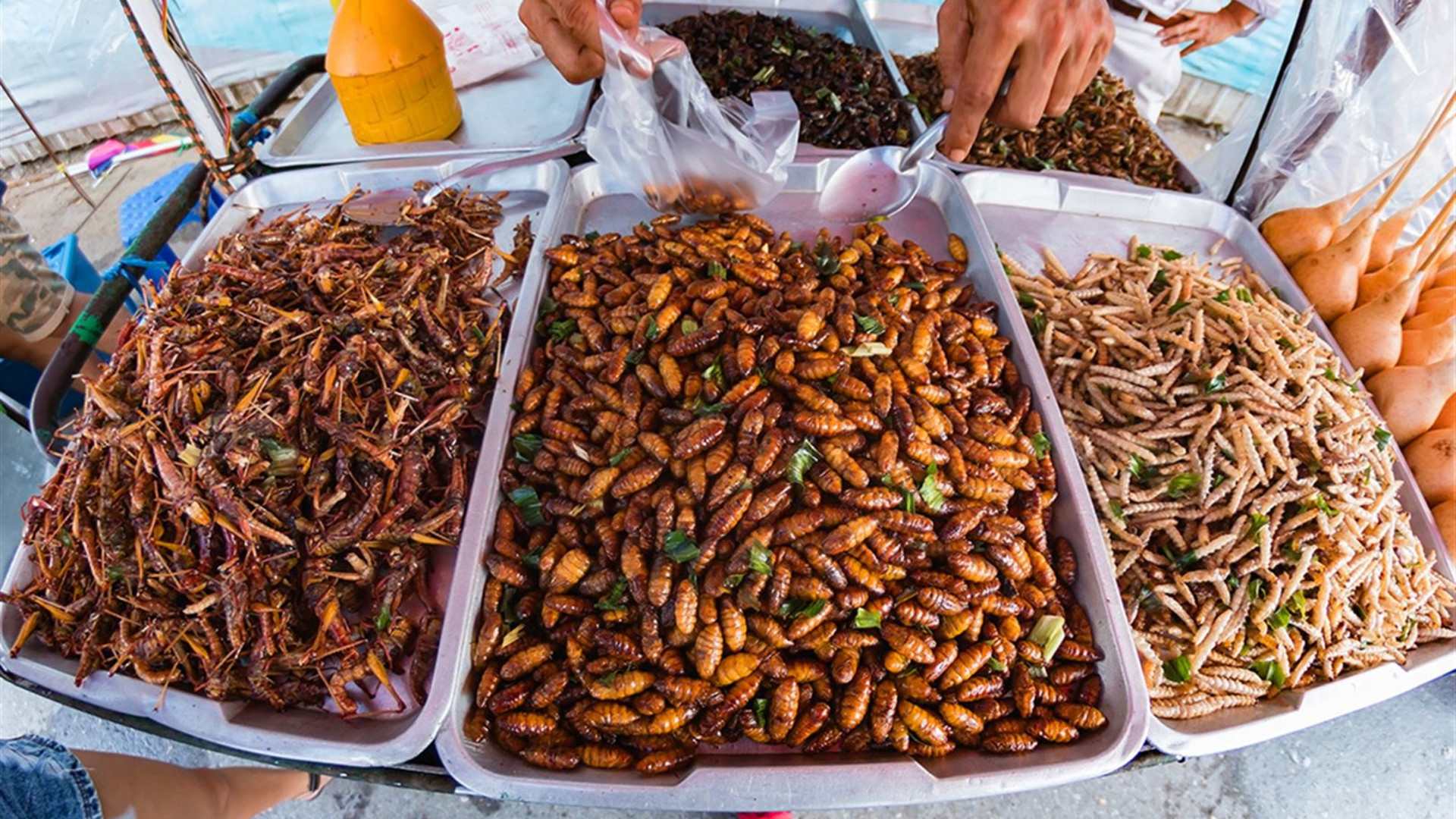 Thailand Real Food Adventure