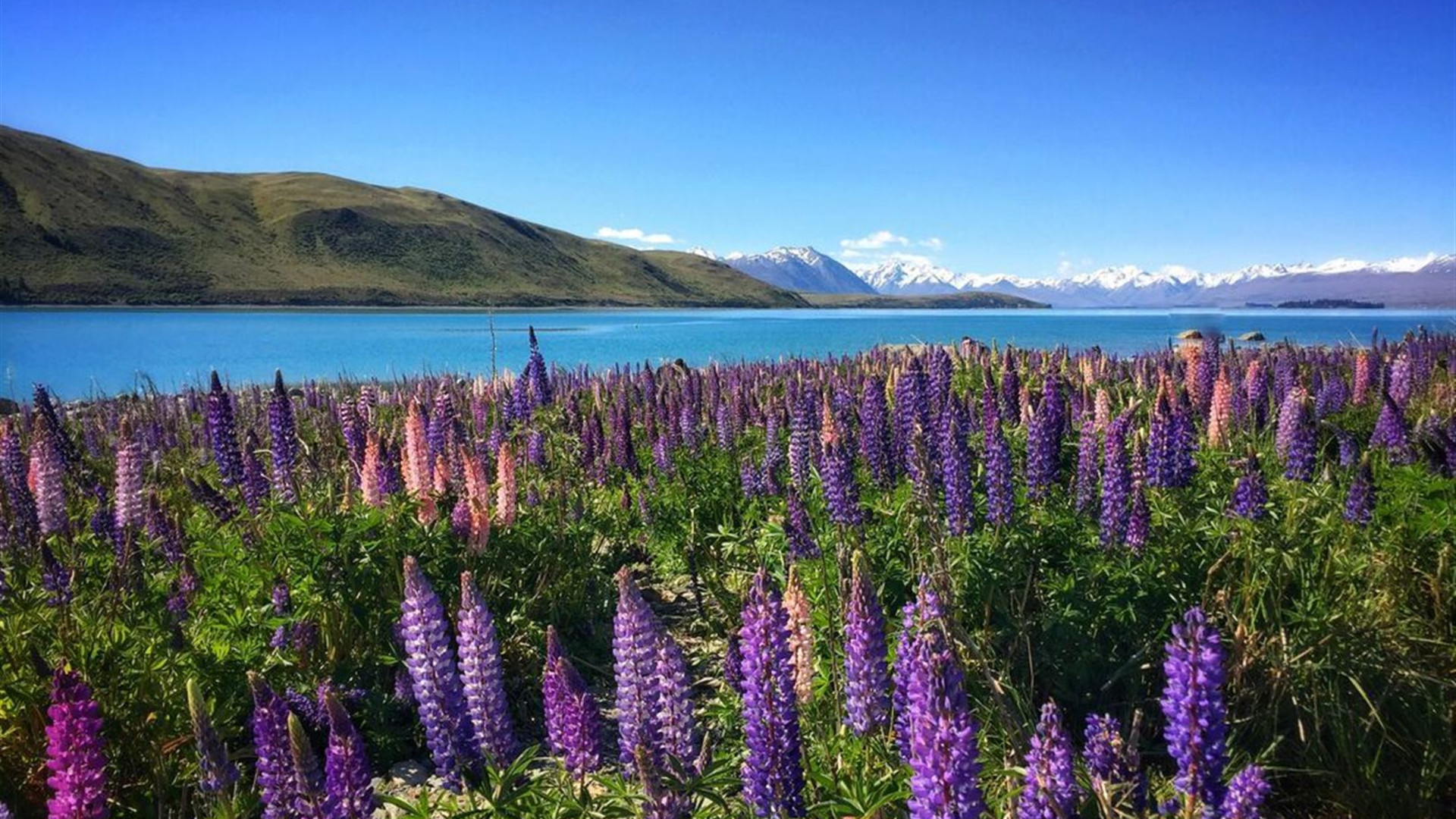 Ultimate New Zealand