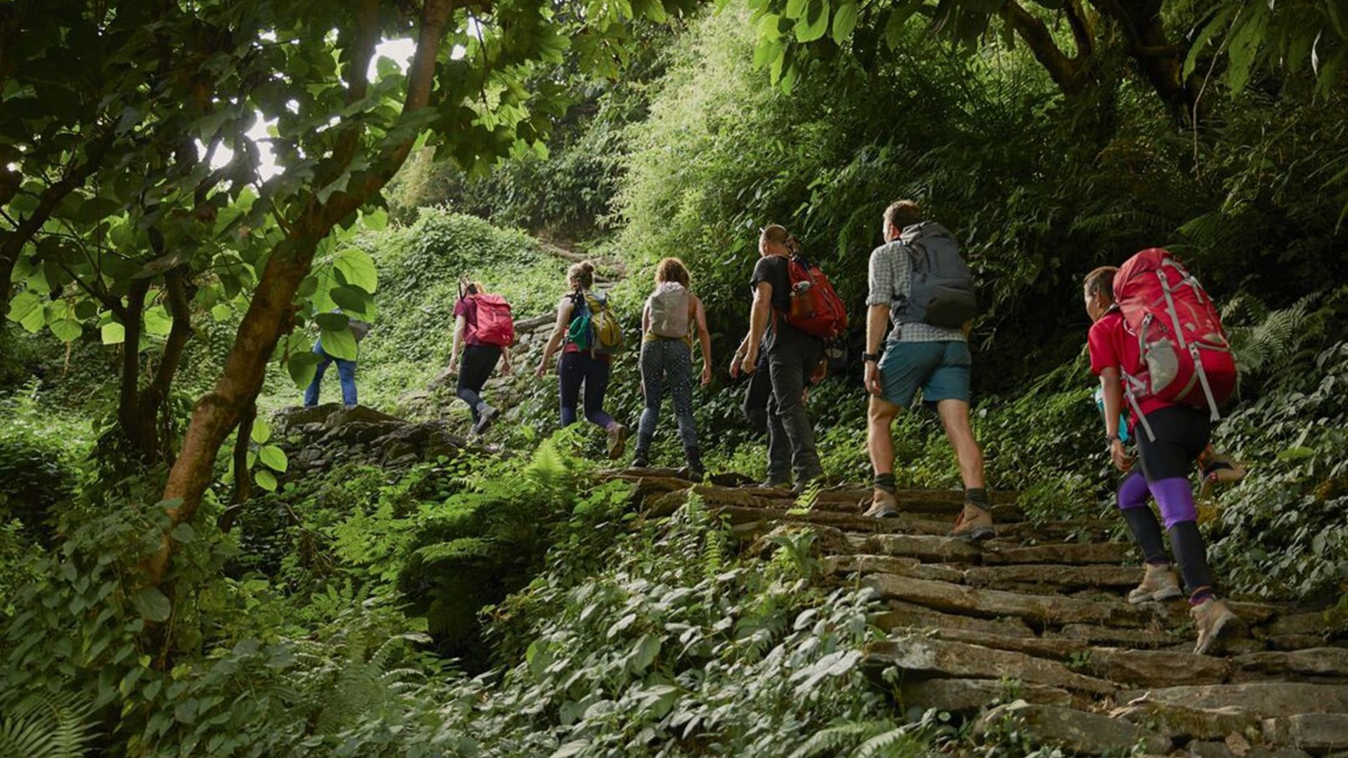 Premium Hiking and Trekking in Nepal's Annapurna region