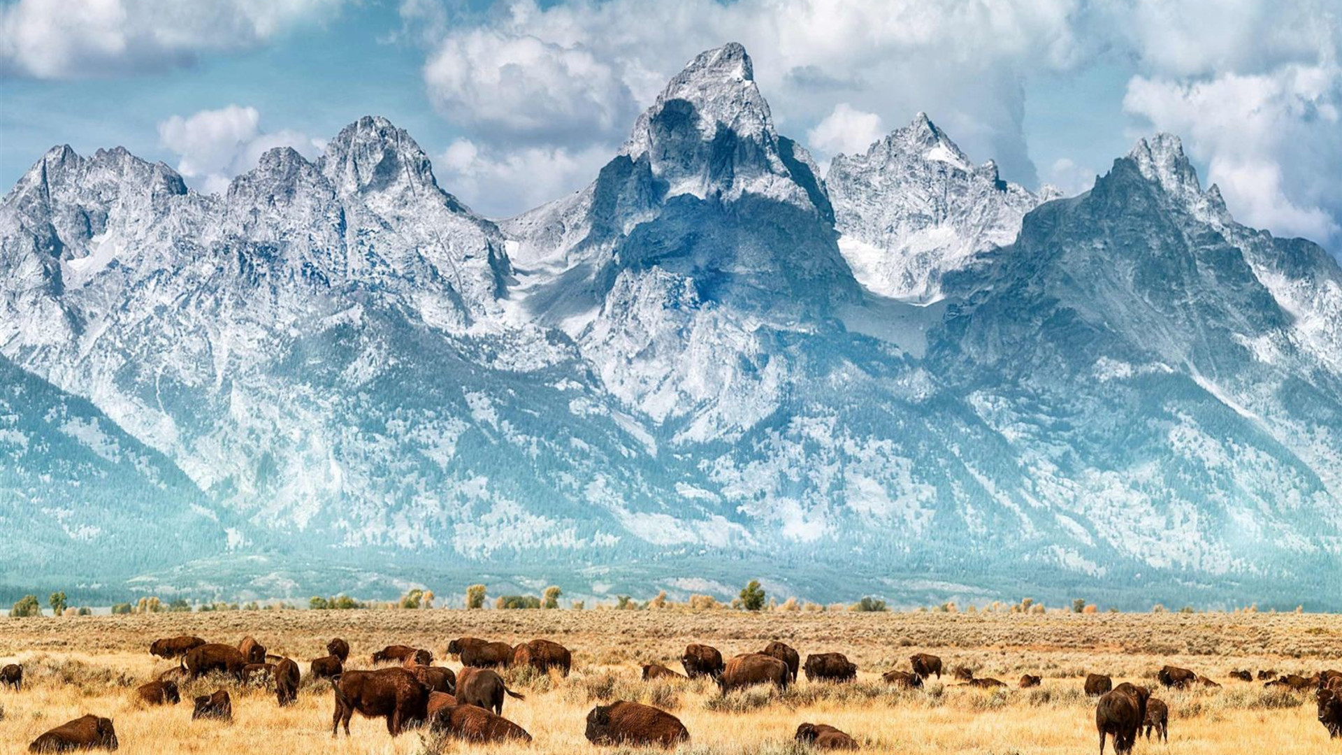 Five Epic National Parks