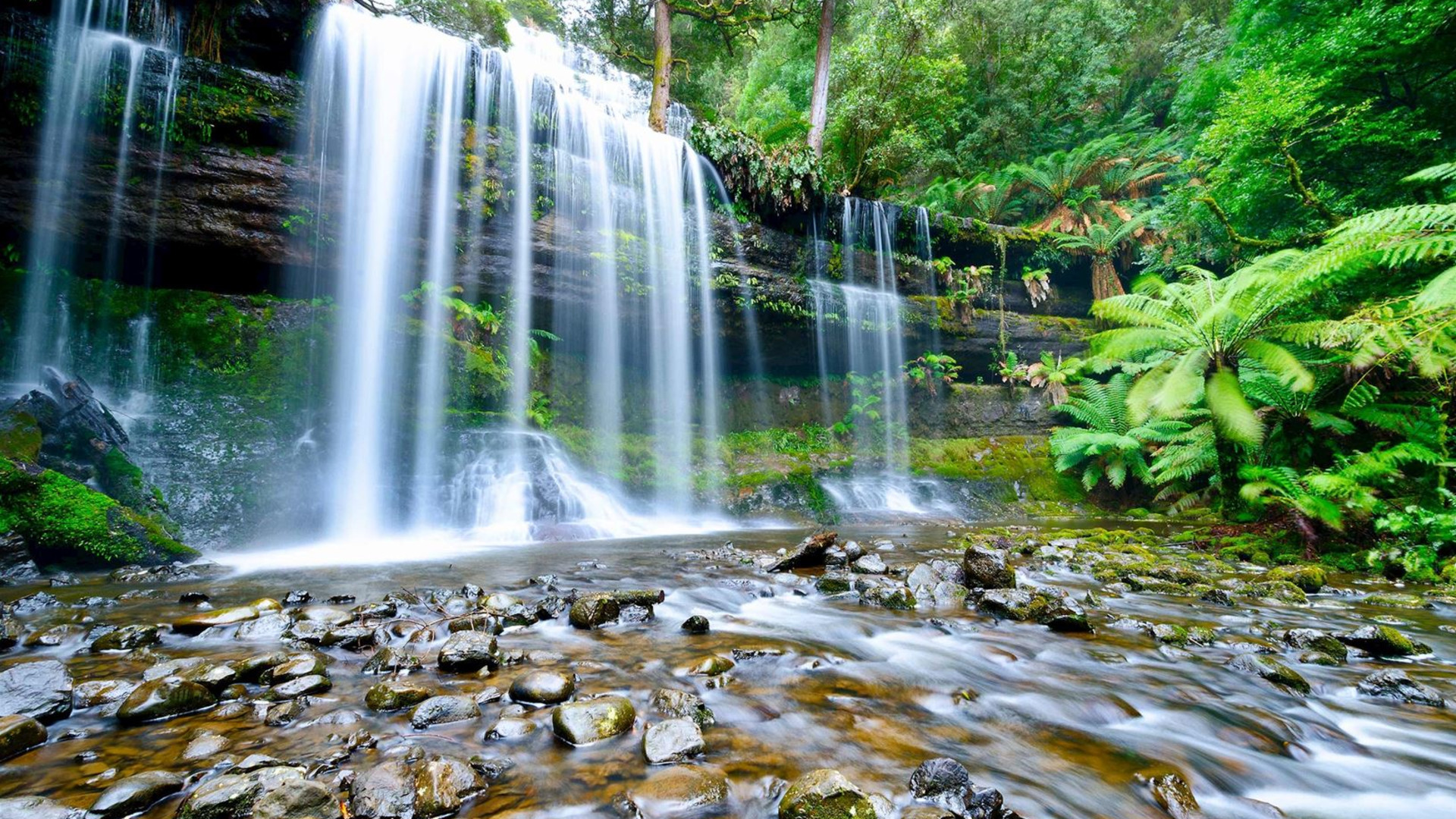 Perfect Tasmania