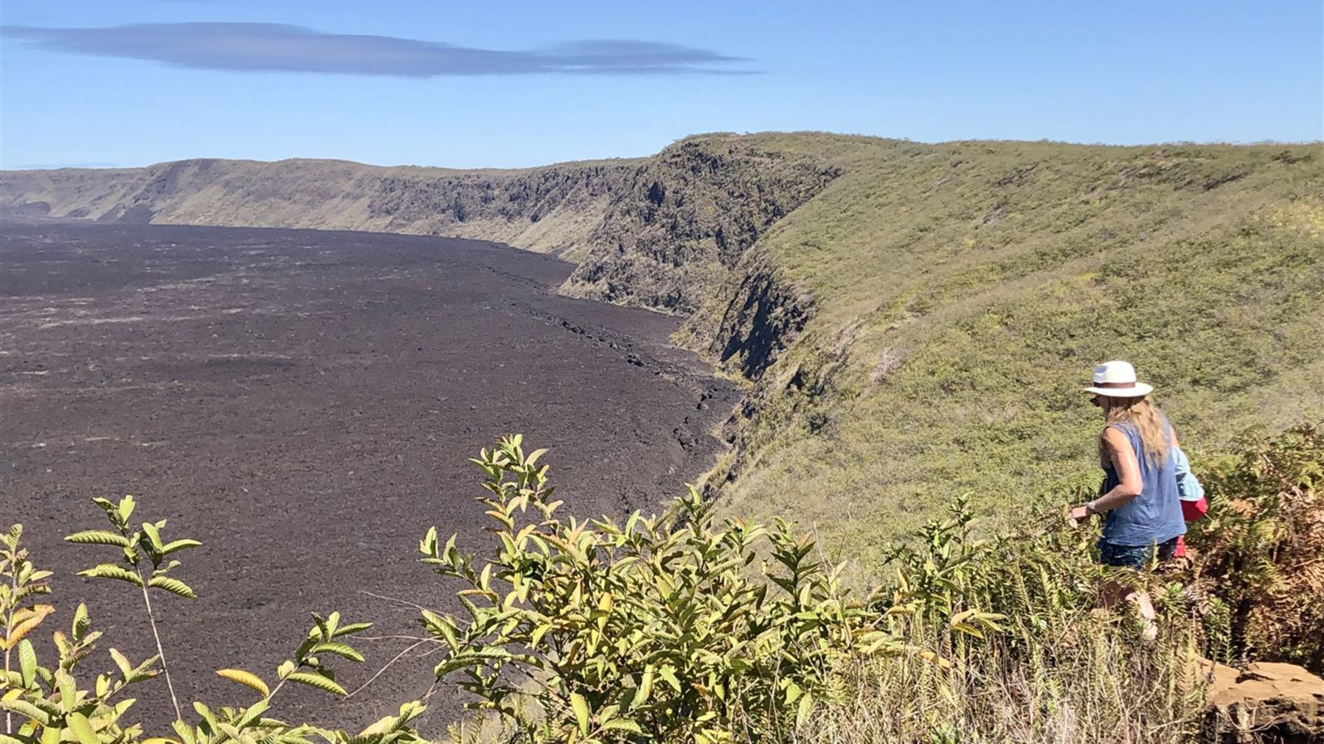 Galápagos – Östliche, zentrale und westliche Inseln an Bord der Eden