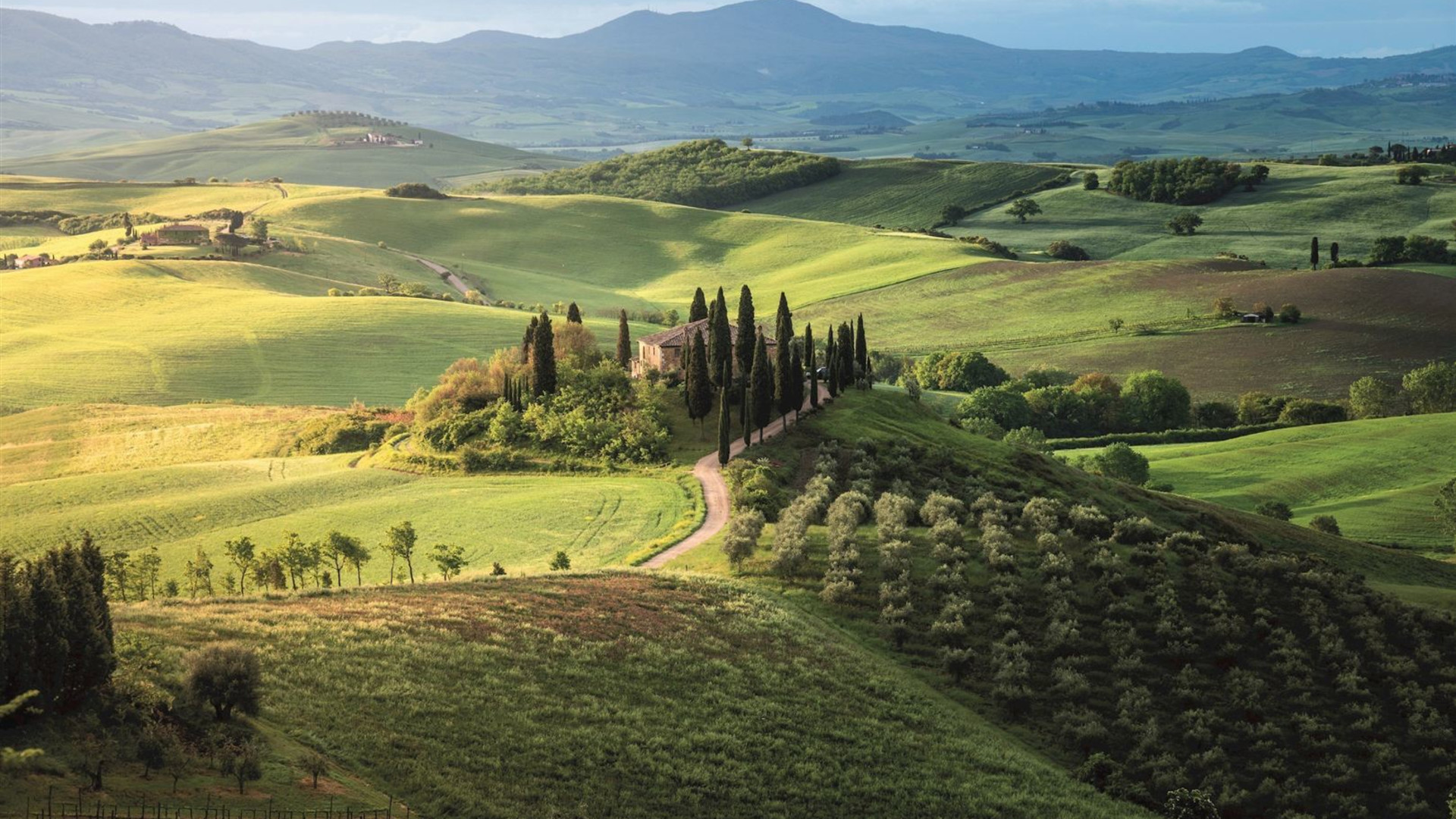 Country Roads of Italy