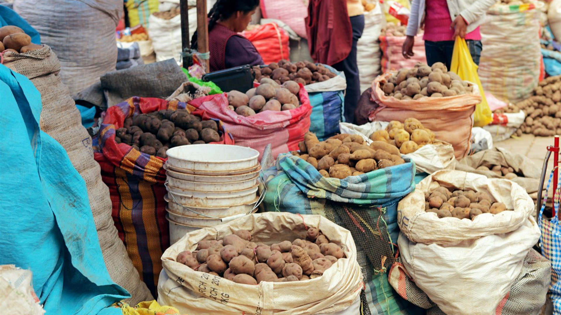 Peru: From Lima to Lake Titicaca 