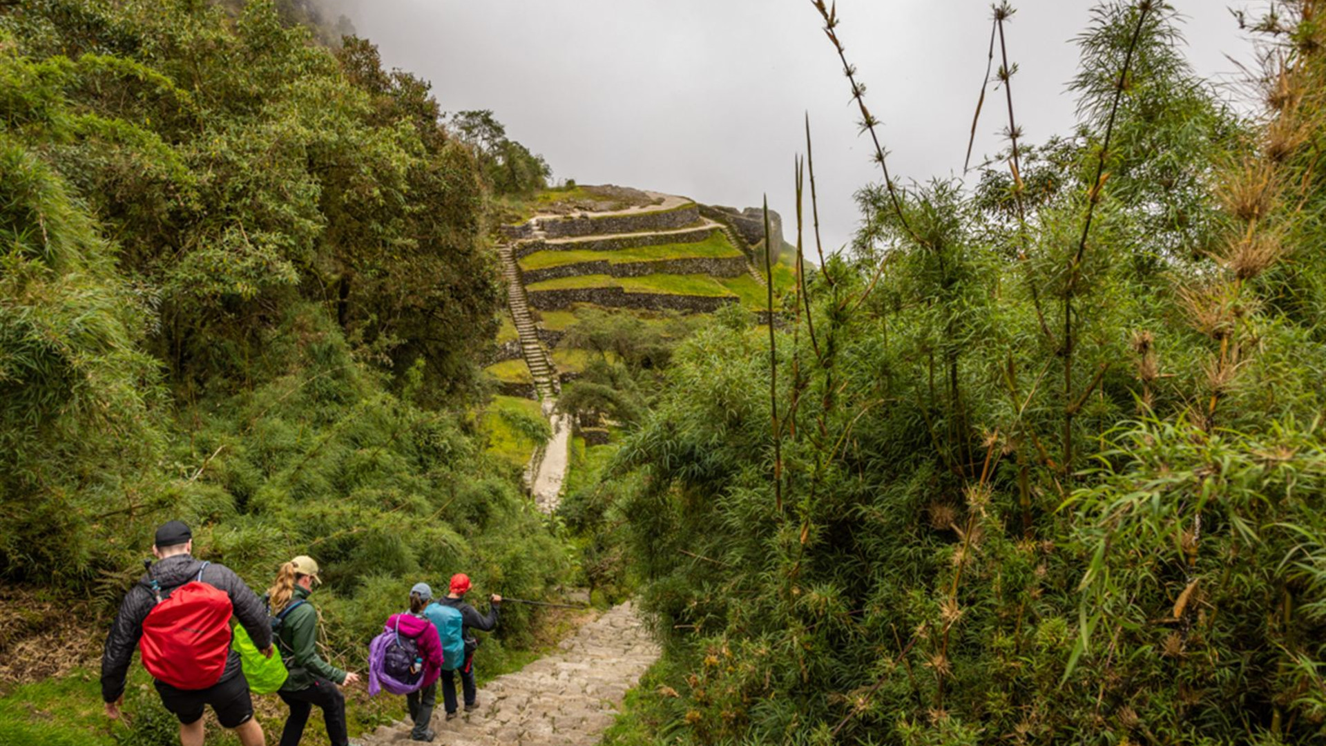 Premium Peru 