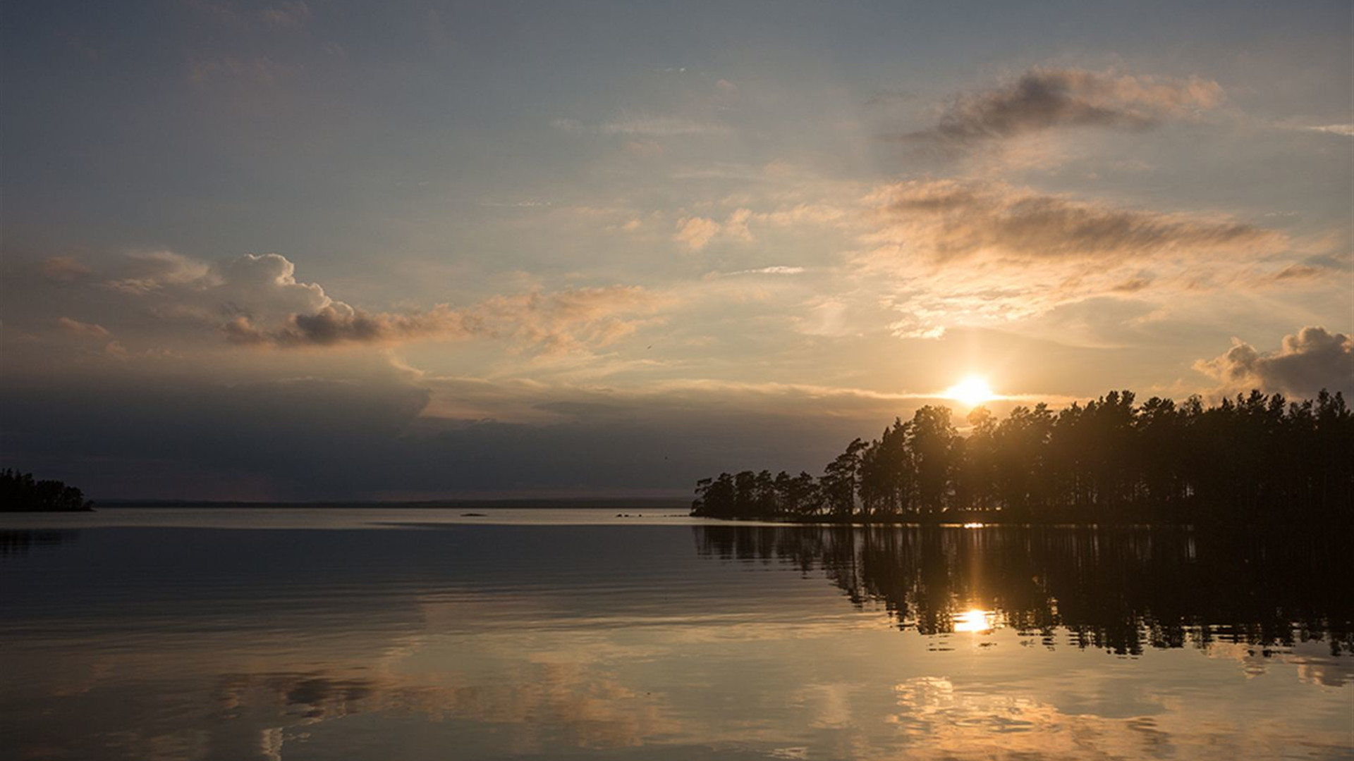 Premium Sweden and Norway