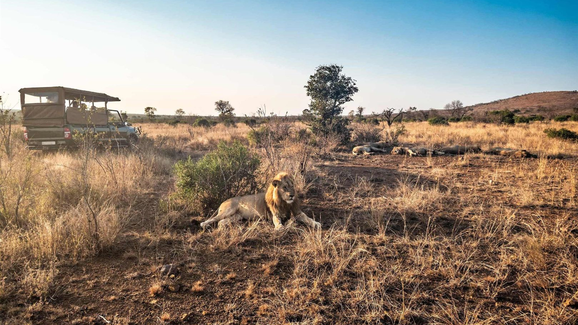 Best of South Africa