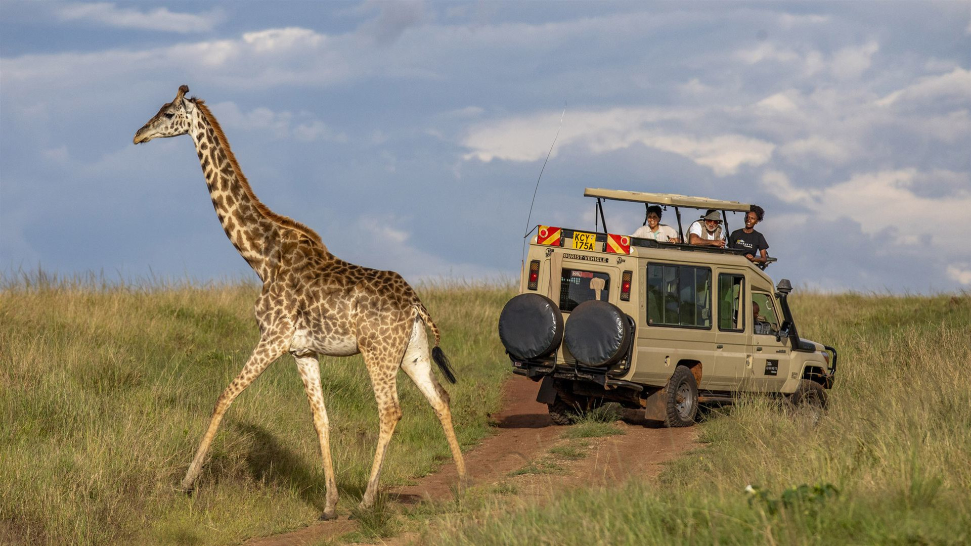 Kenia: Masai Mara, Tsavo & Küstenwunder